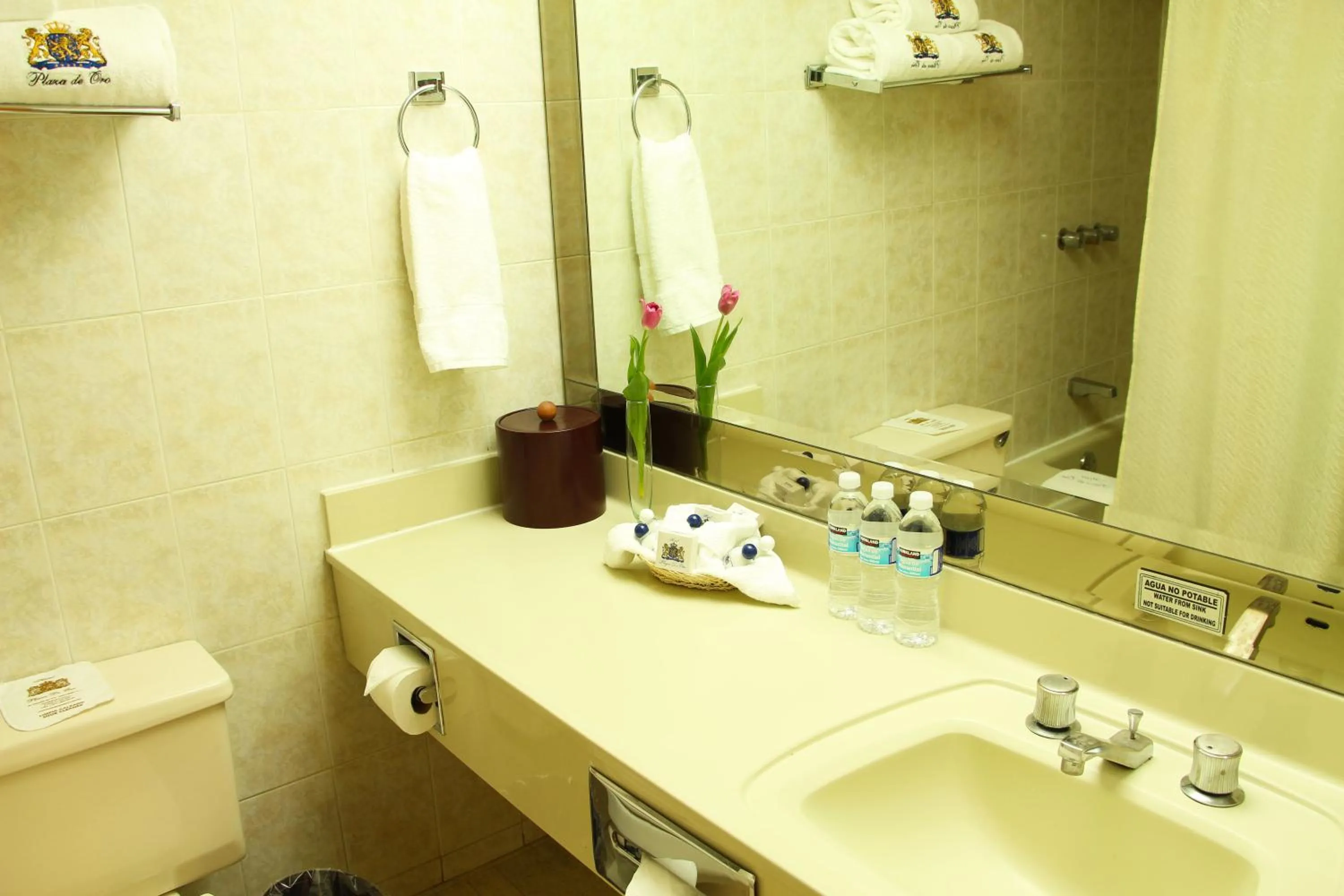 Bathroom in Plaza de Oro