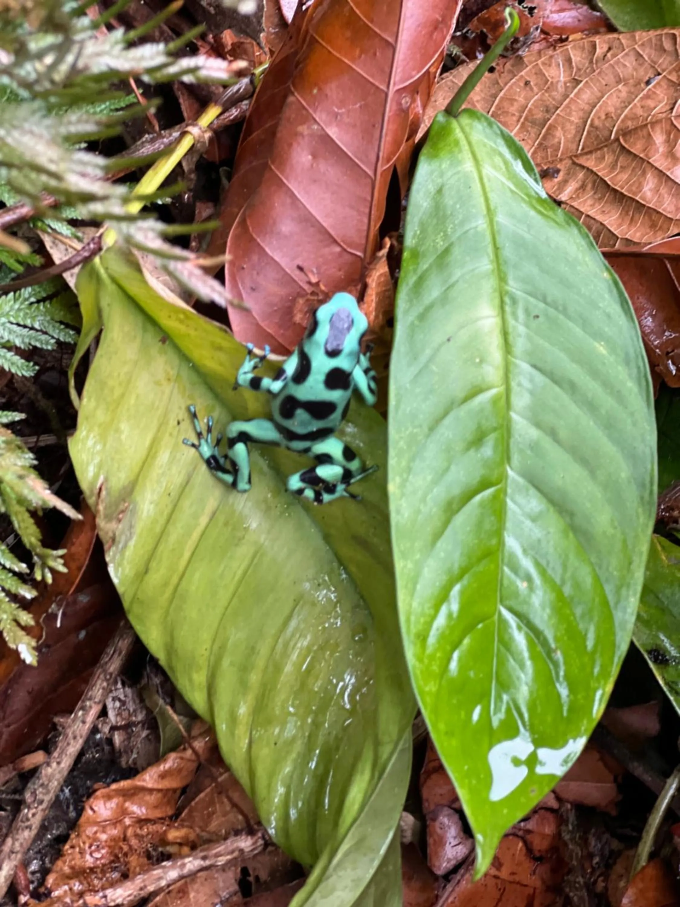 Property building in Hotel Arte Natura