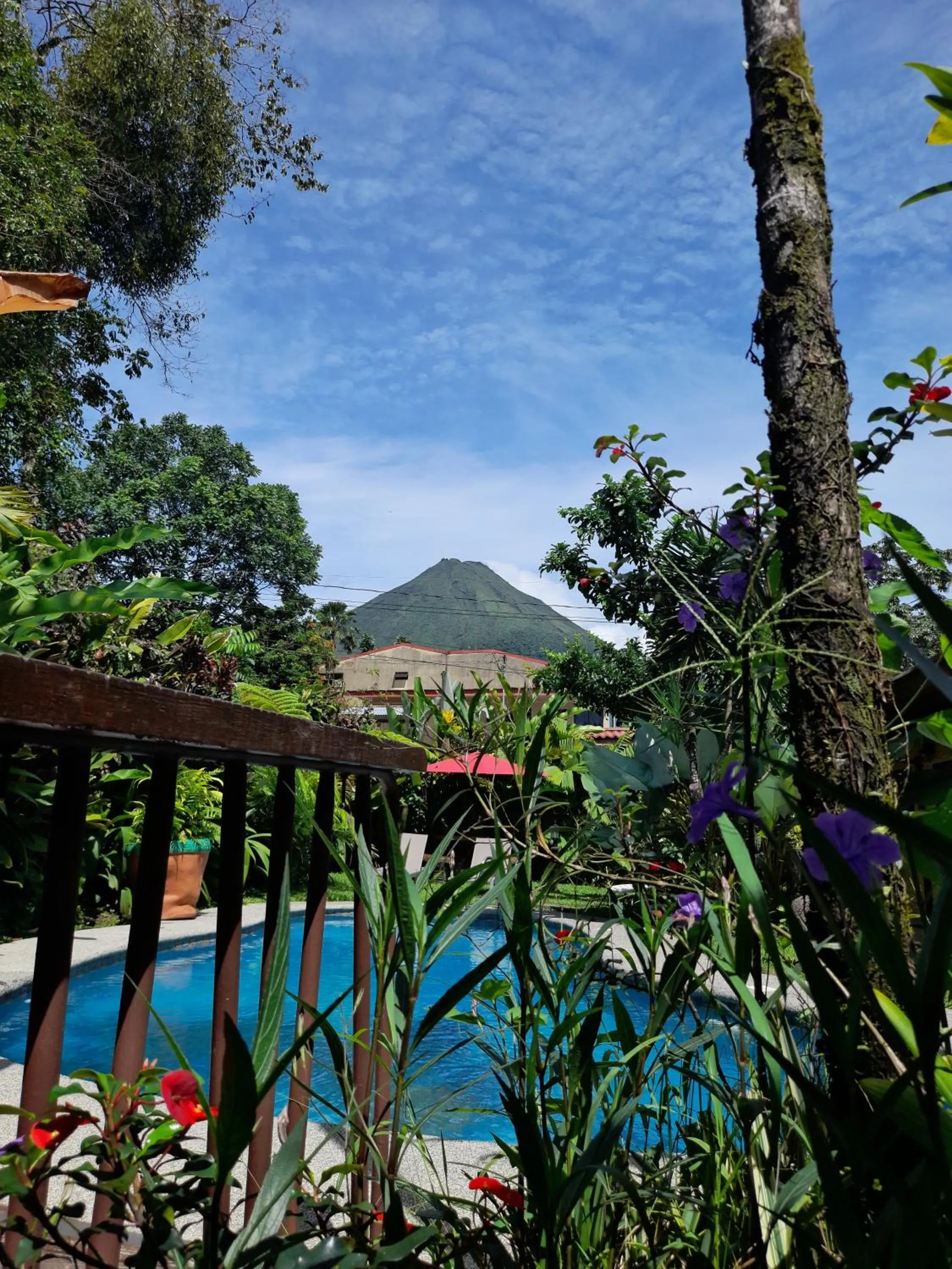 Swimming pool in Hotel Arte Natura