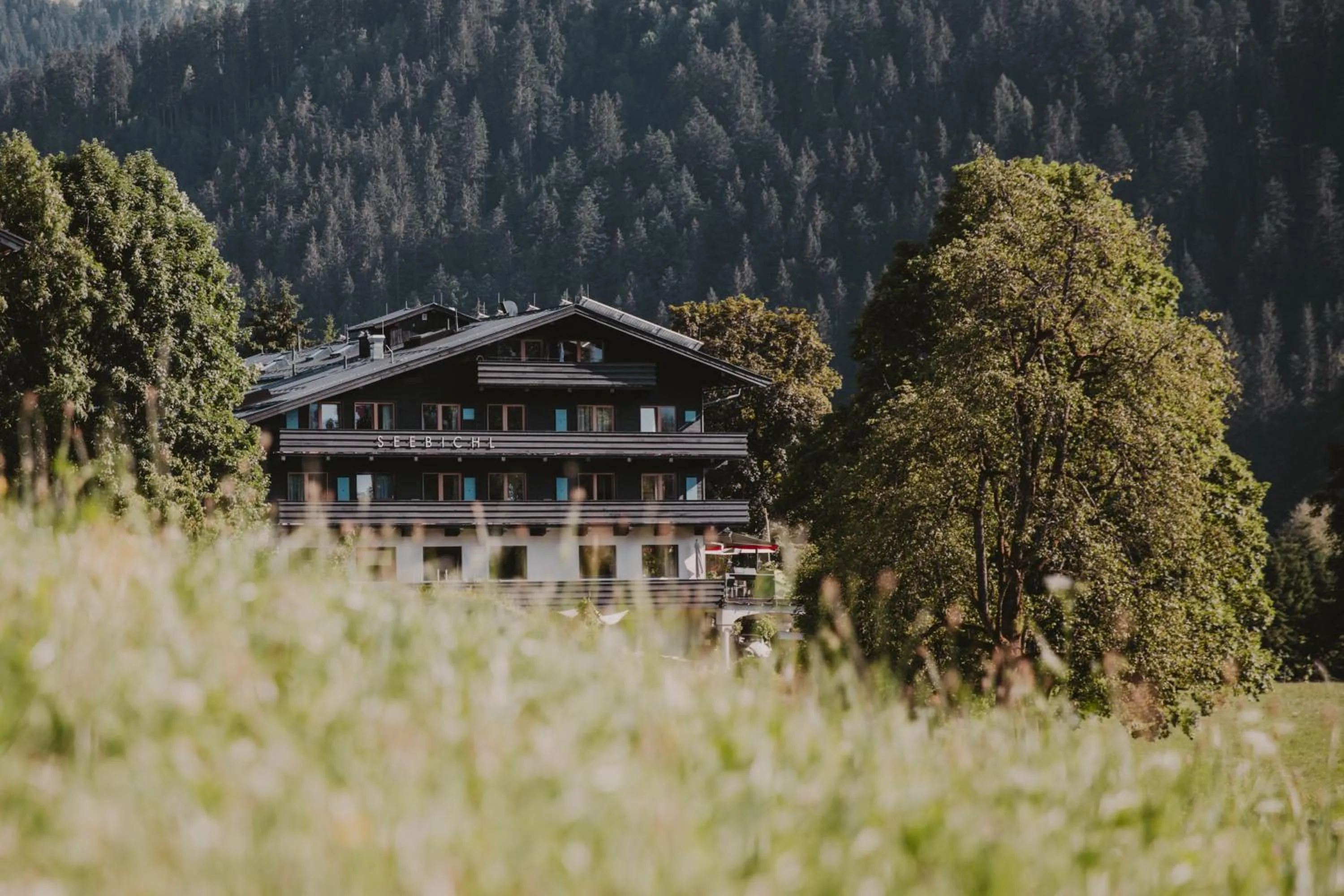 Property building in SEEBICHL haus am see Designhotel Kitzbühel