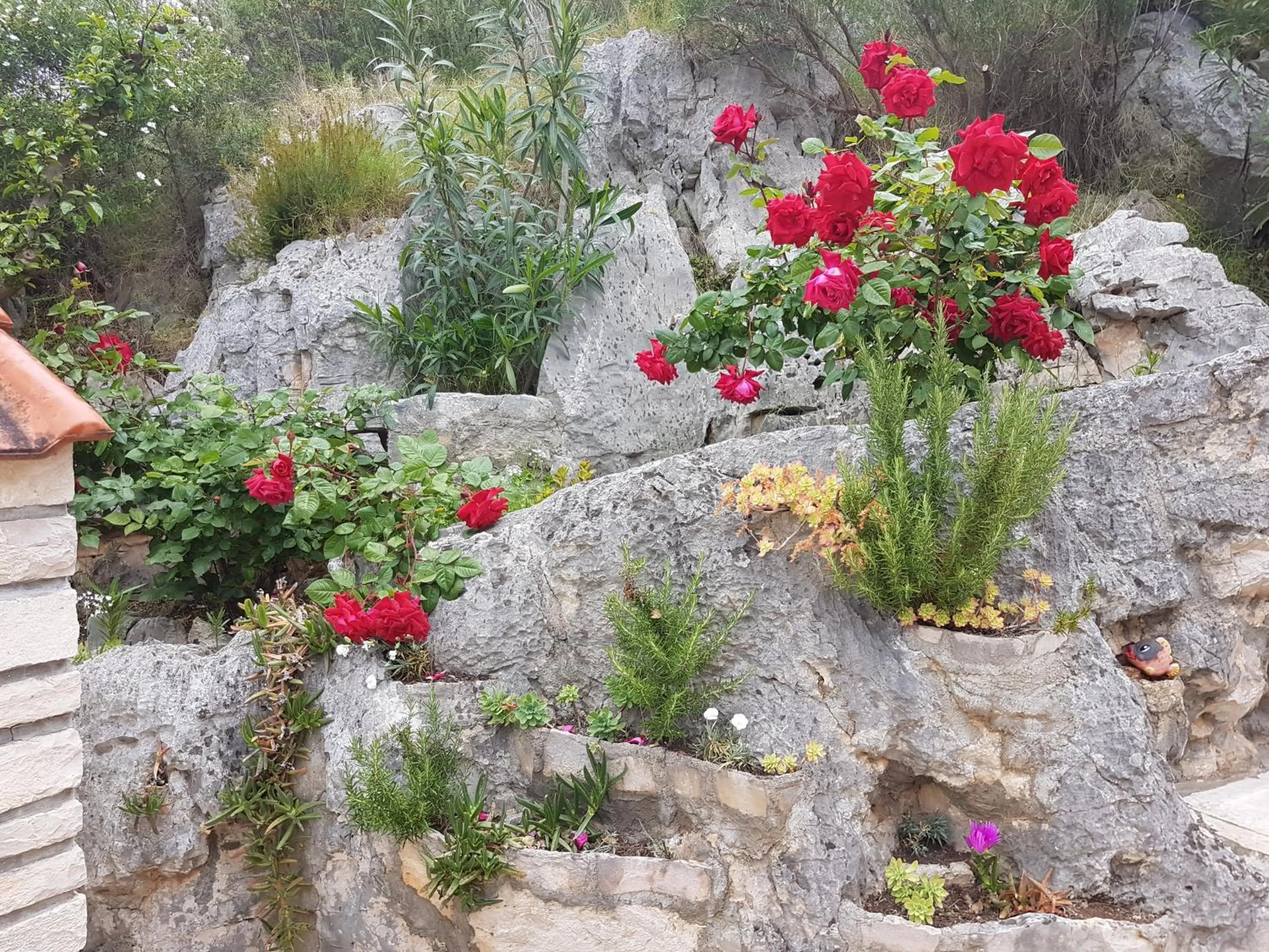 Natural landscape in Apartments Villa Sonia & Teo Hvar