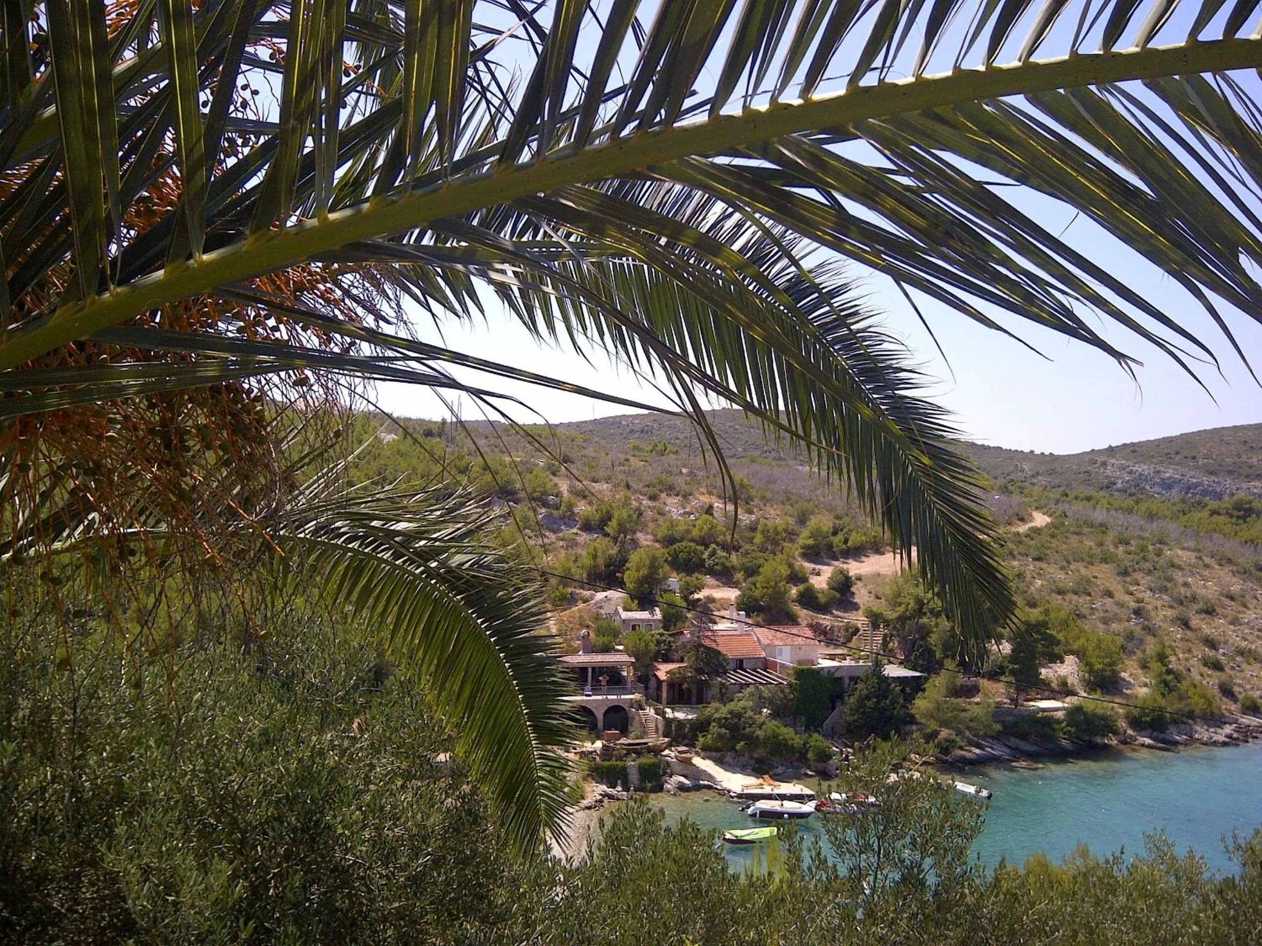 Restaurant/places to eat in Apartments Villa Sonia & Teo Hvar