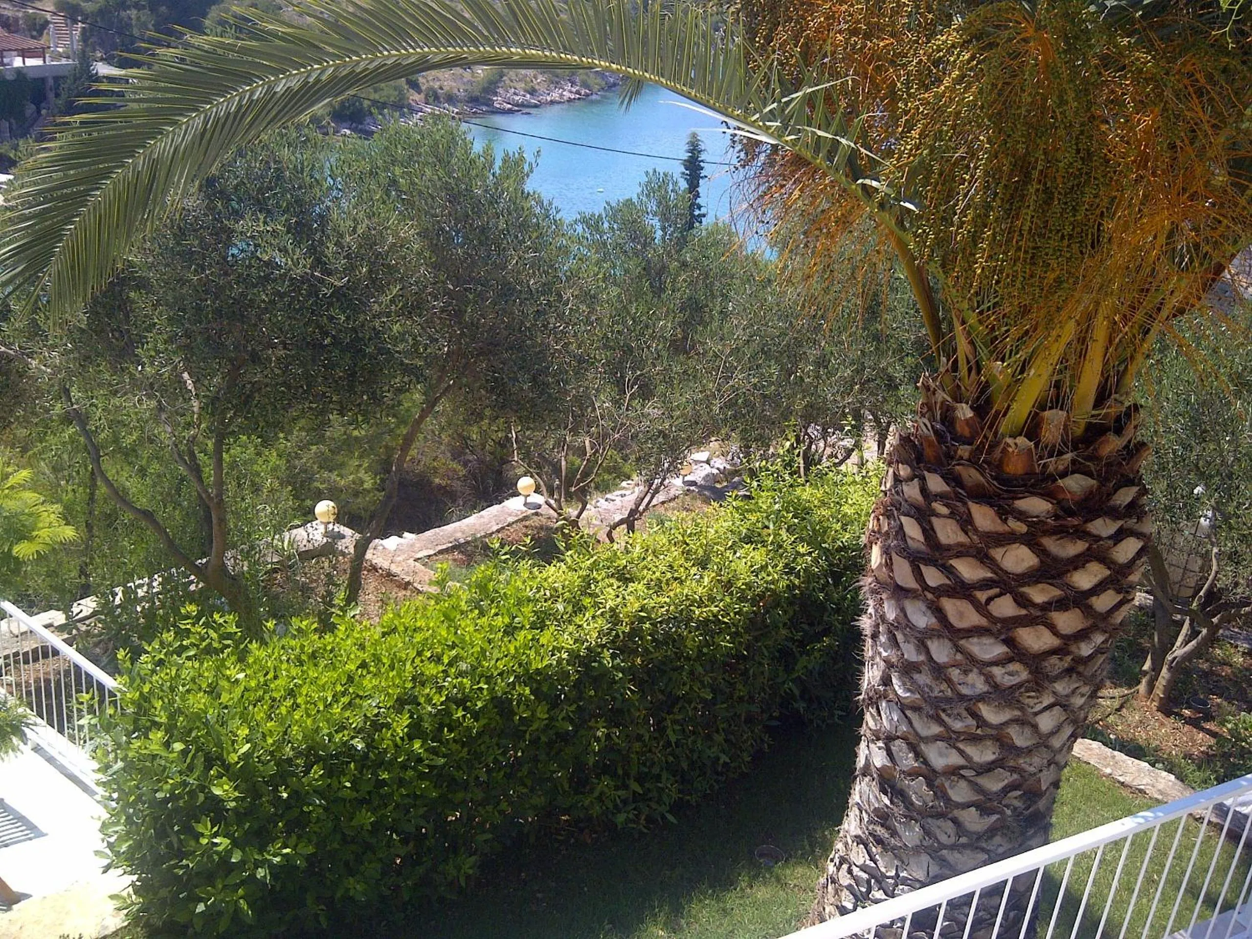 Garden in Apartments Villa Sonia & Teo Hvar