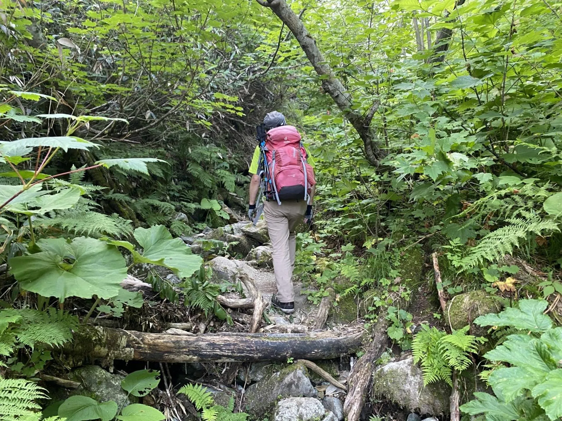 Activities in Rusutsu Grand Cabin