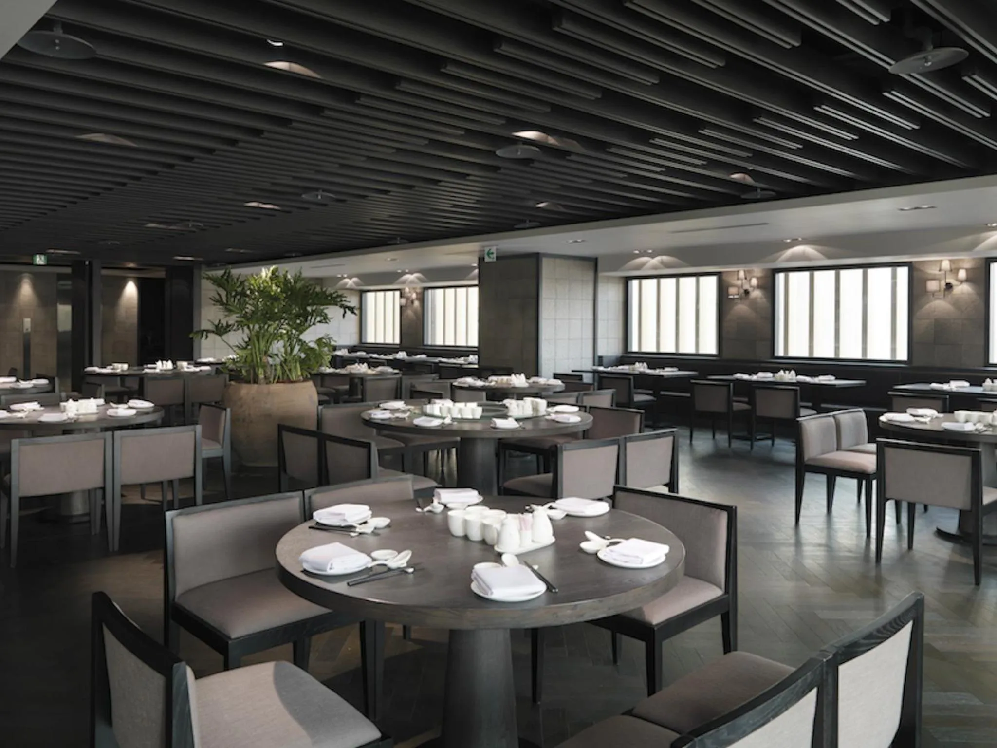 Restaurant/places to eat in Hotel Dùa