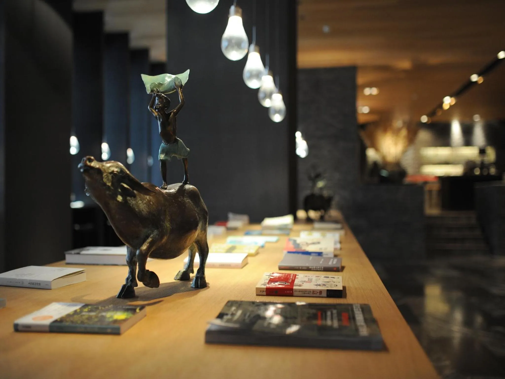 Library in Hotel Dùa