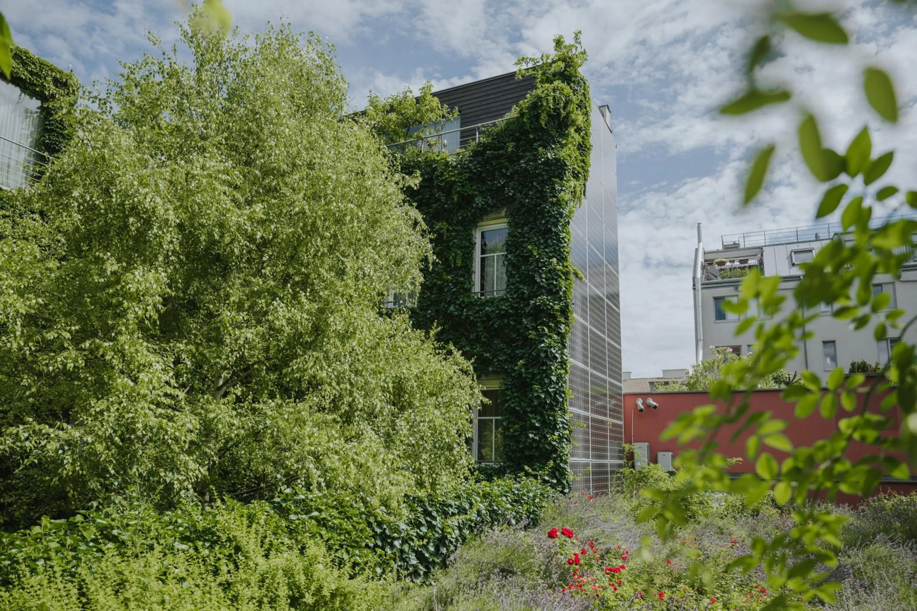 Garden in Boutiquehotel Stadthalle