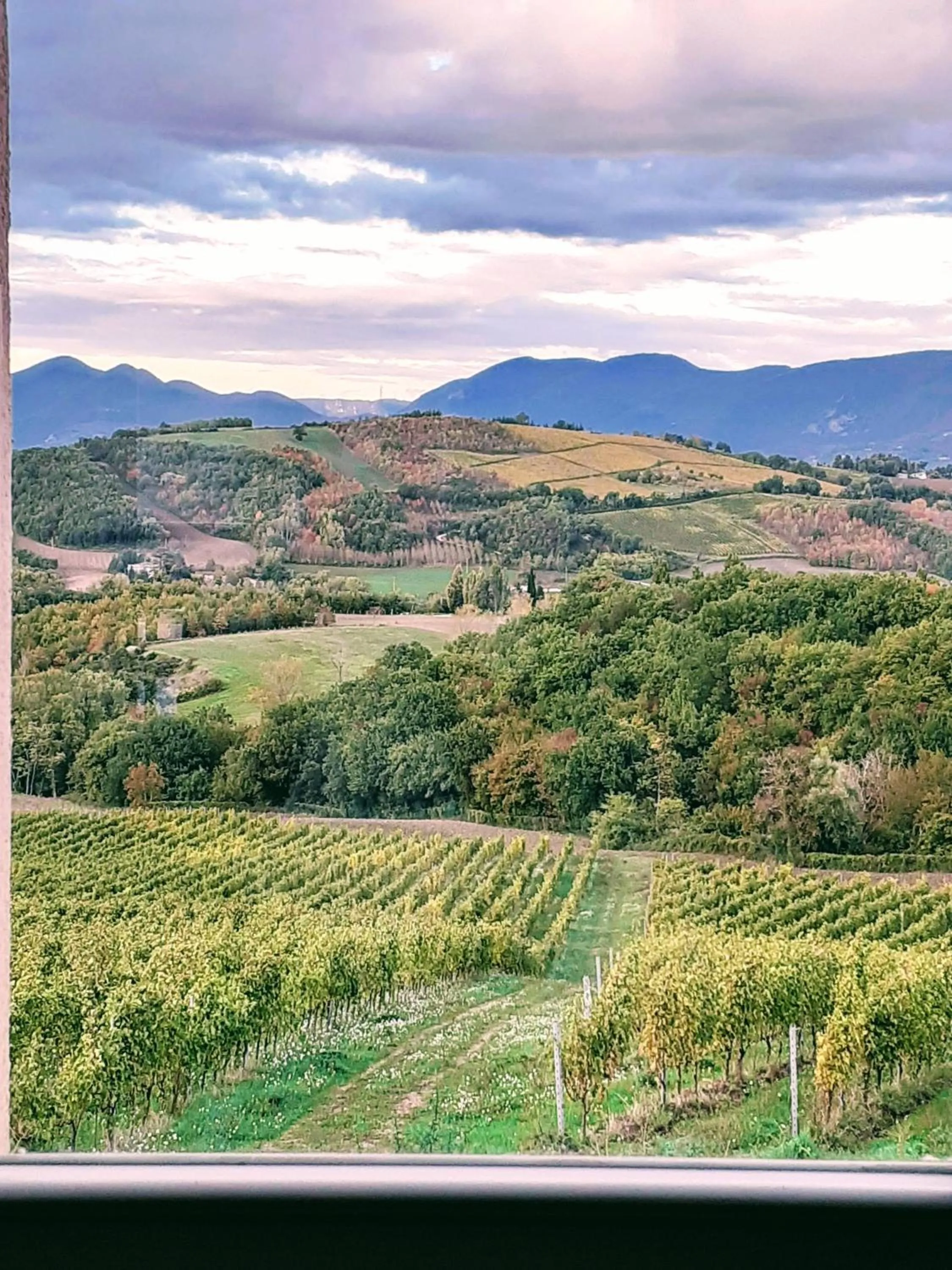 Natural landscape in Tenuta Grimaldi Wine Resort