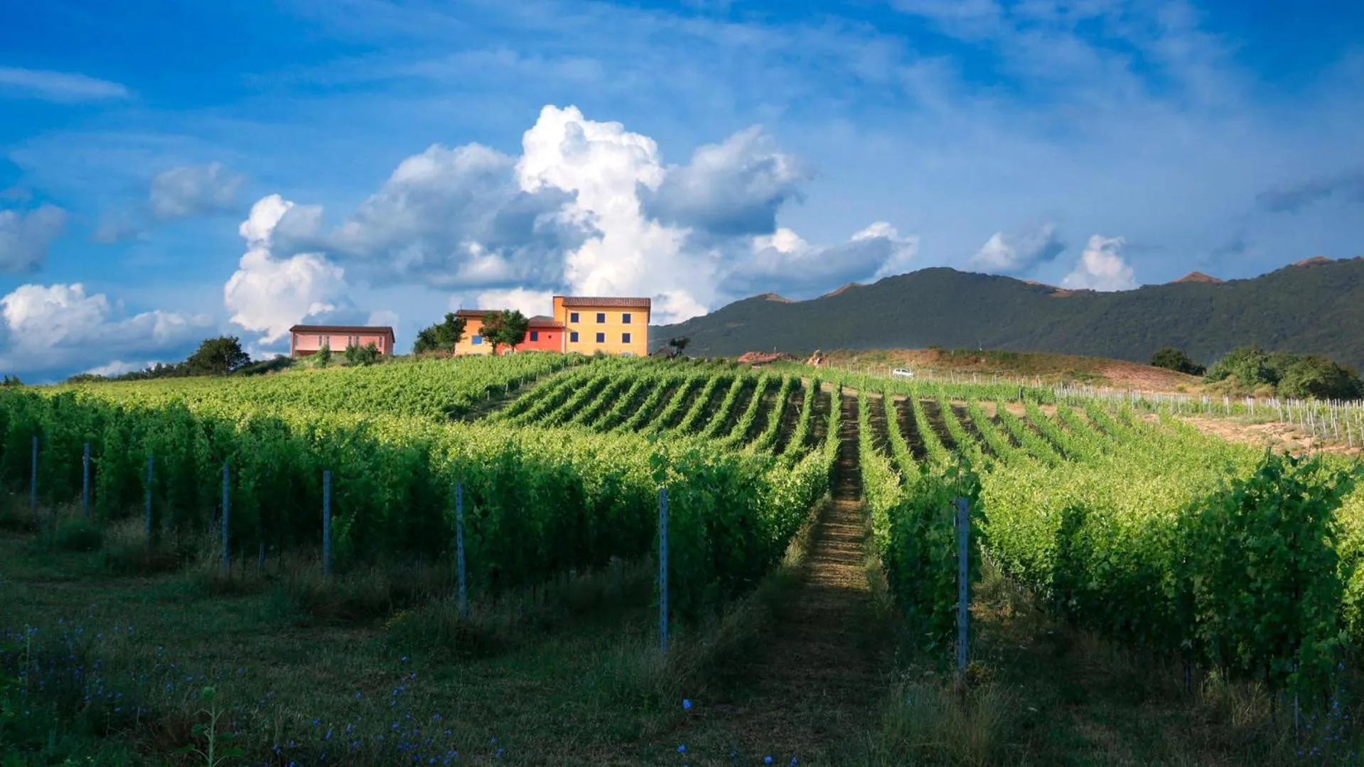 Property building in Tenuta Grimaldi Wine Resort