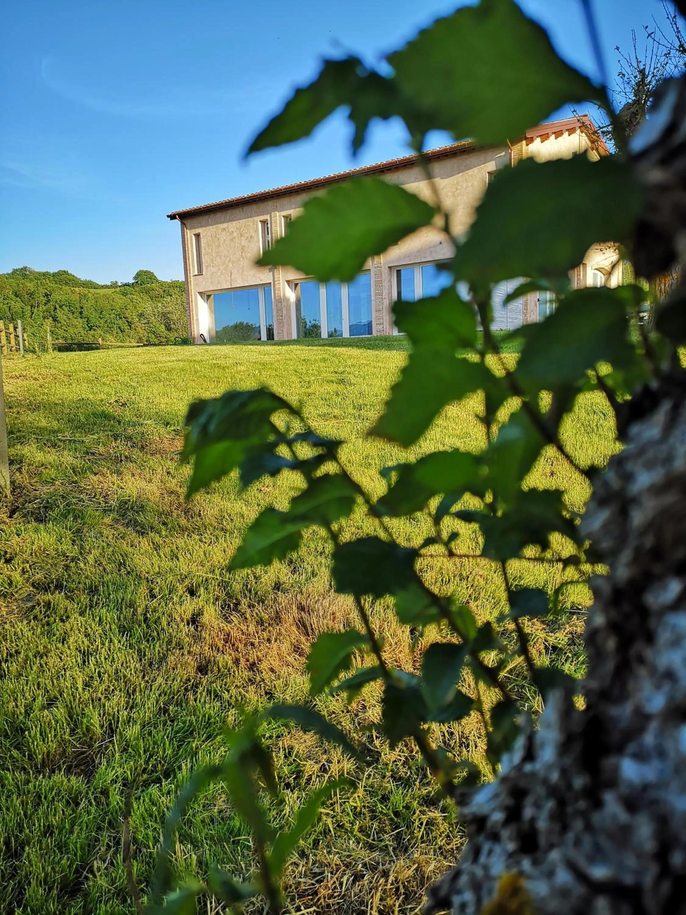 Garden in Tenuta Grimaldi Wine Resort