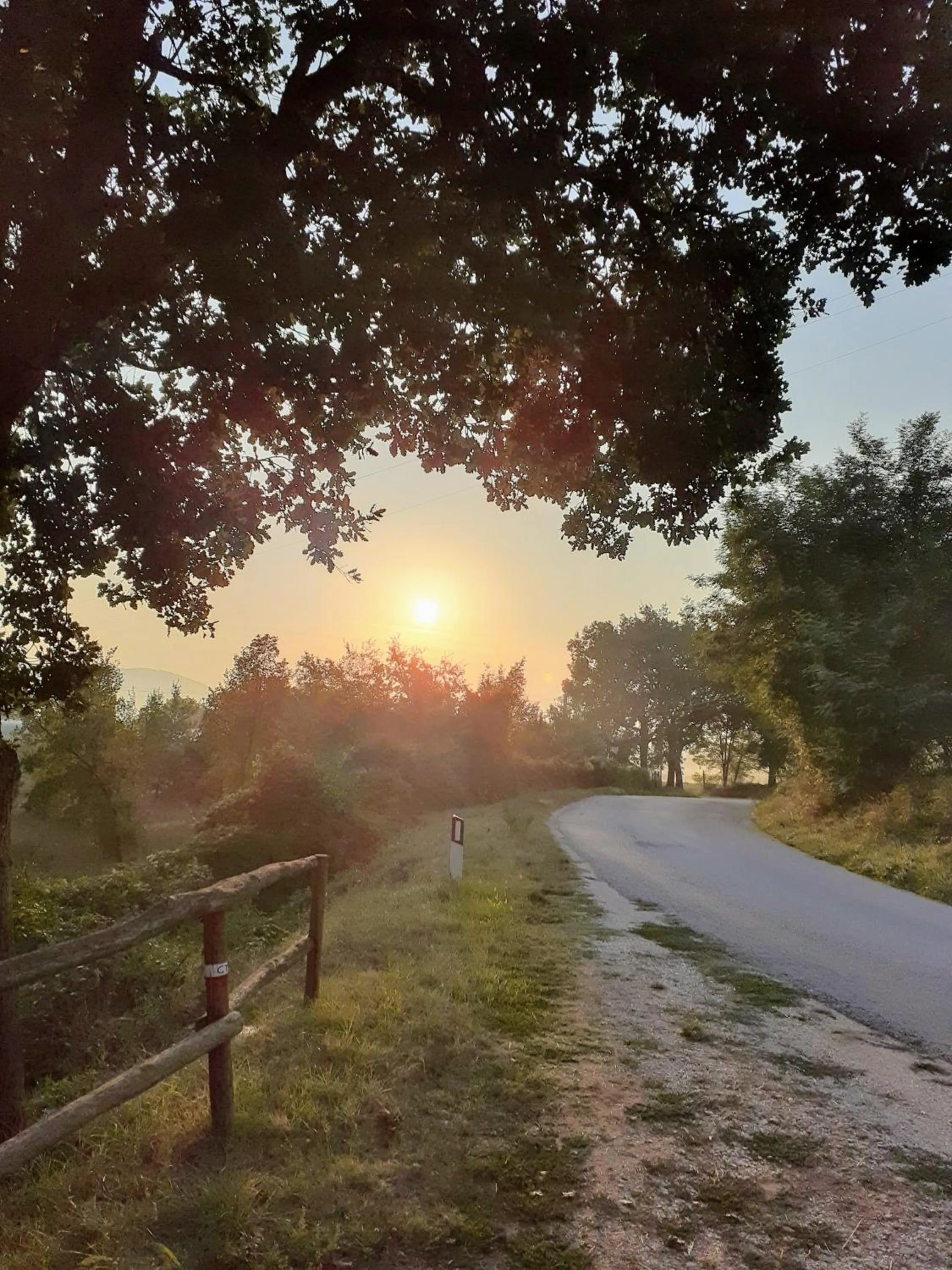 Natural landscape in Tenuta Grimaldi Wine Resort