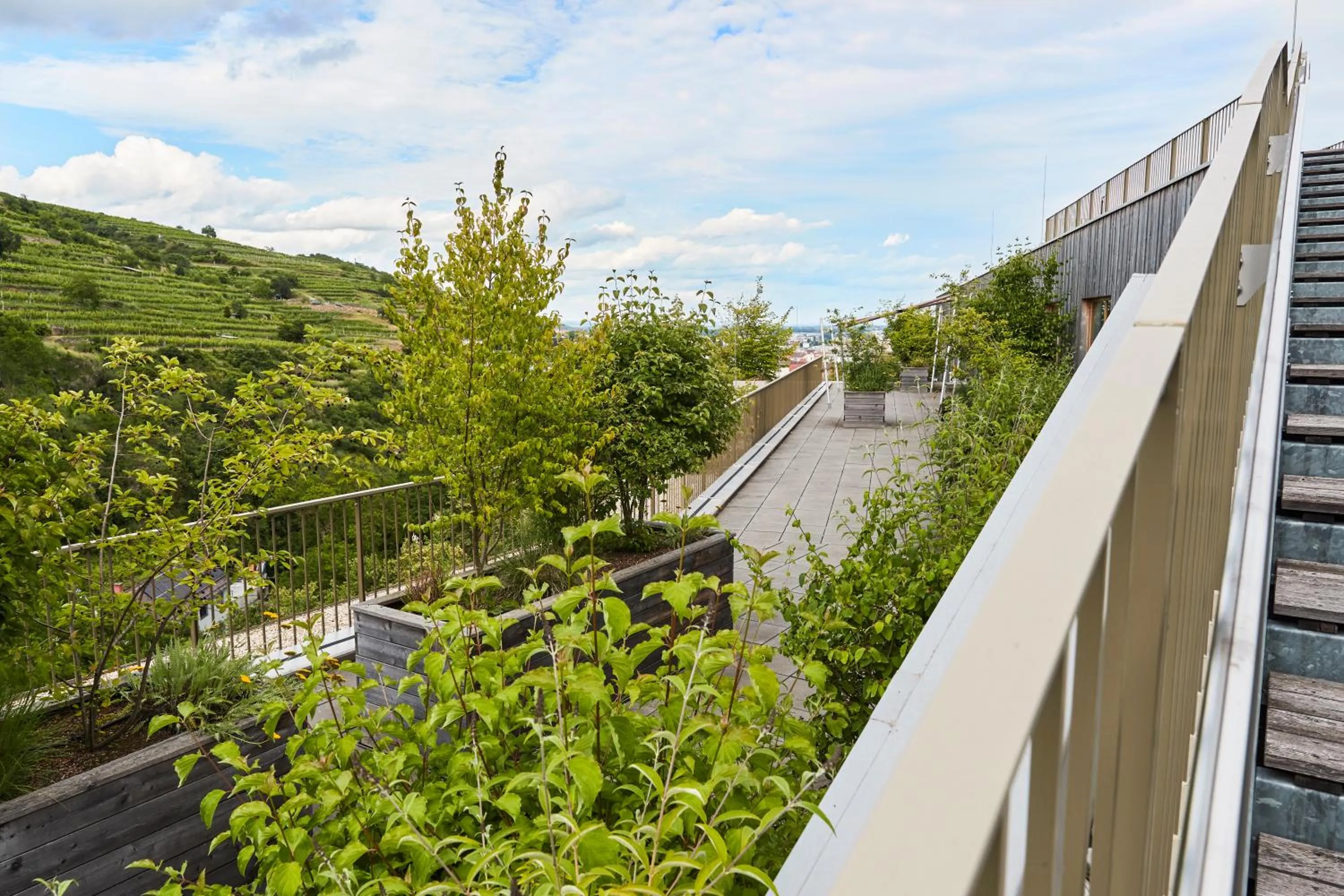 Summer in Steigenberger Hotel & Spa Krems