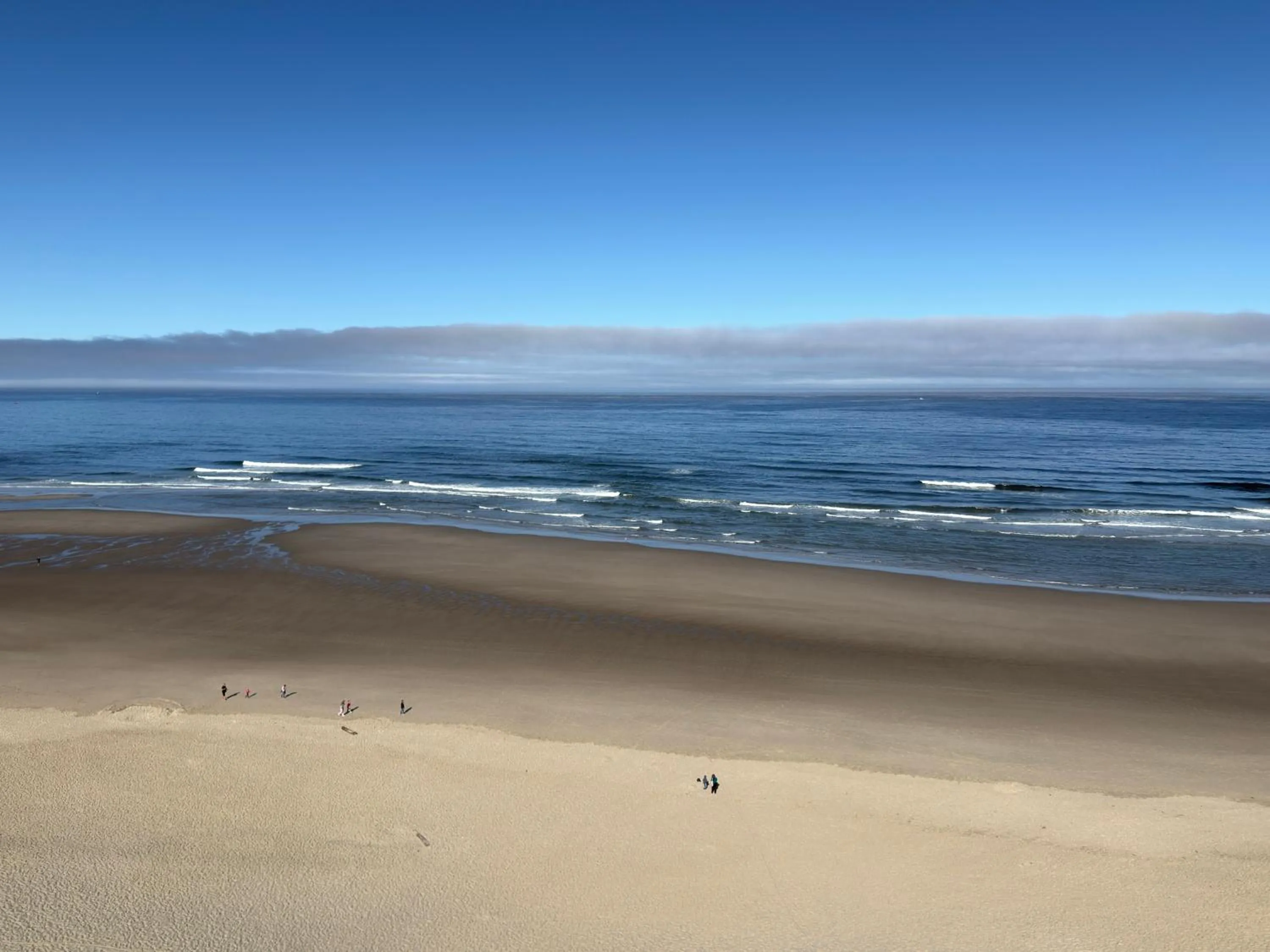 View (from property/room) in Seahorse Oceanfront Lodge