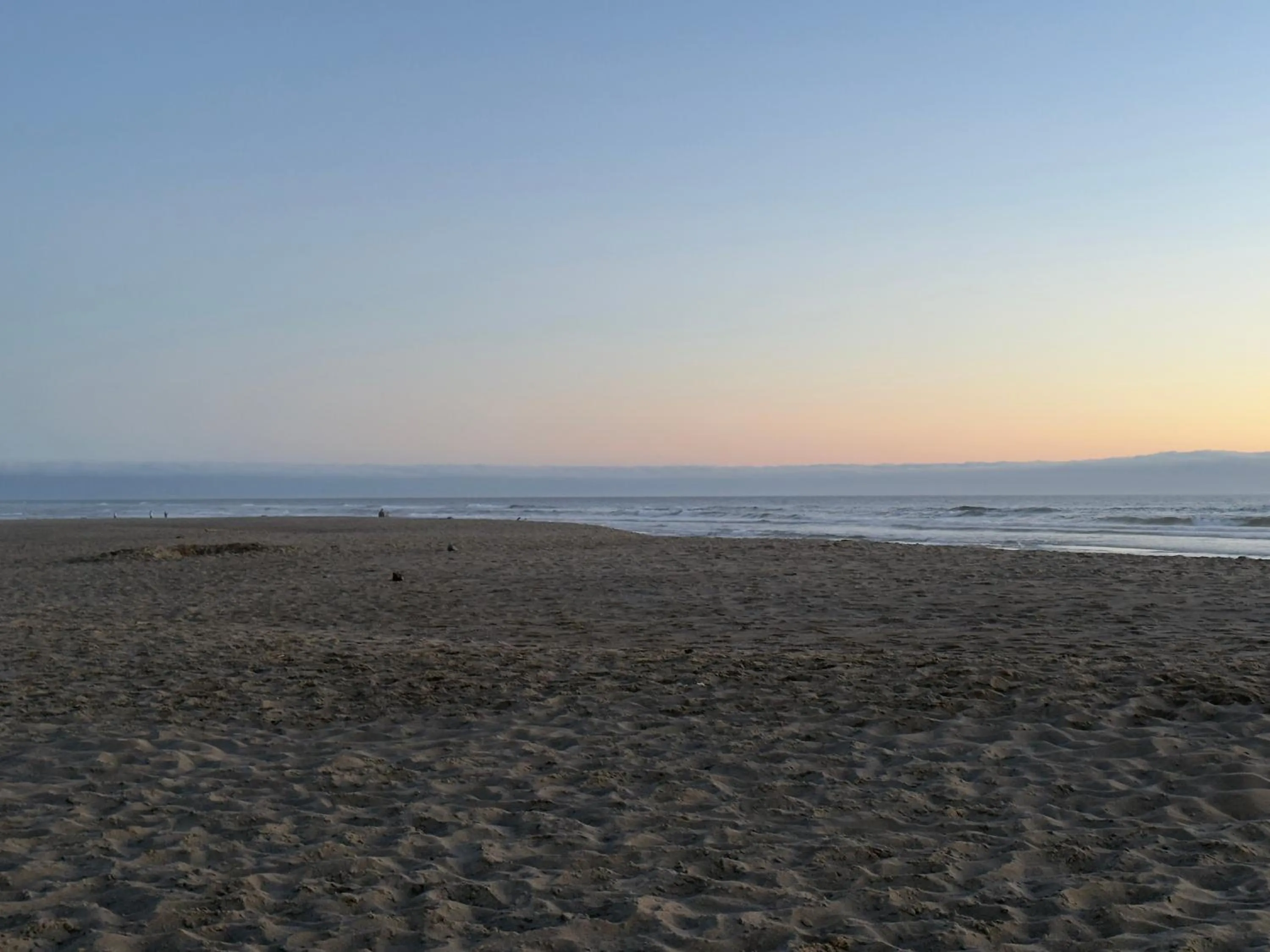 Beach in Seahorse Oceanfront Lodge
