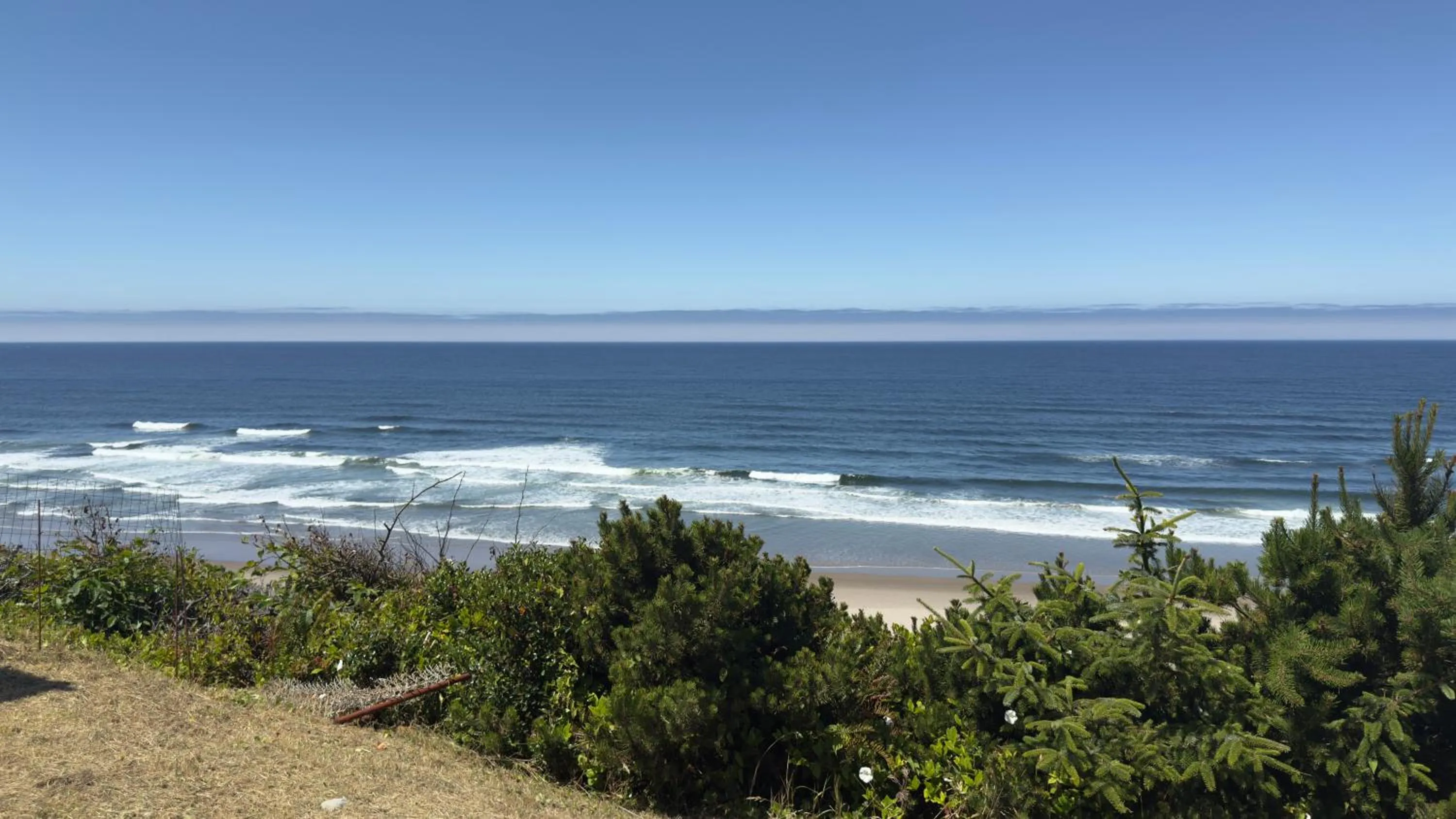 Day in Seahorse Oceanfront Lodge