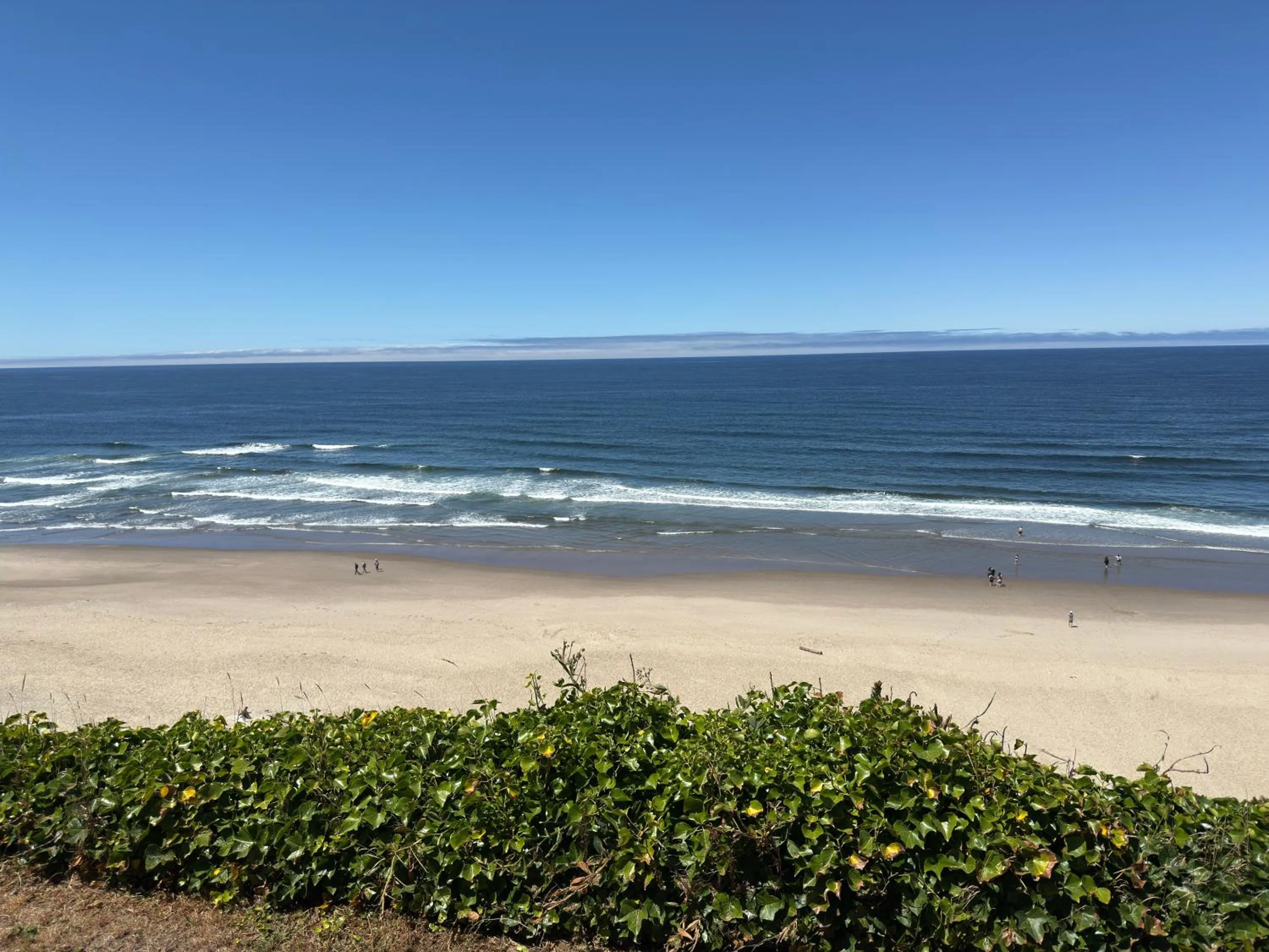 View (from property/room) in Seahorse Oceanfront Lodge