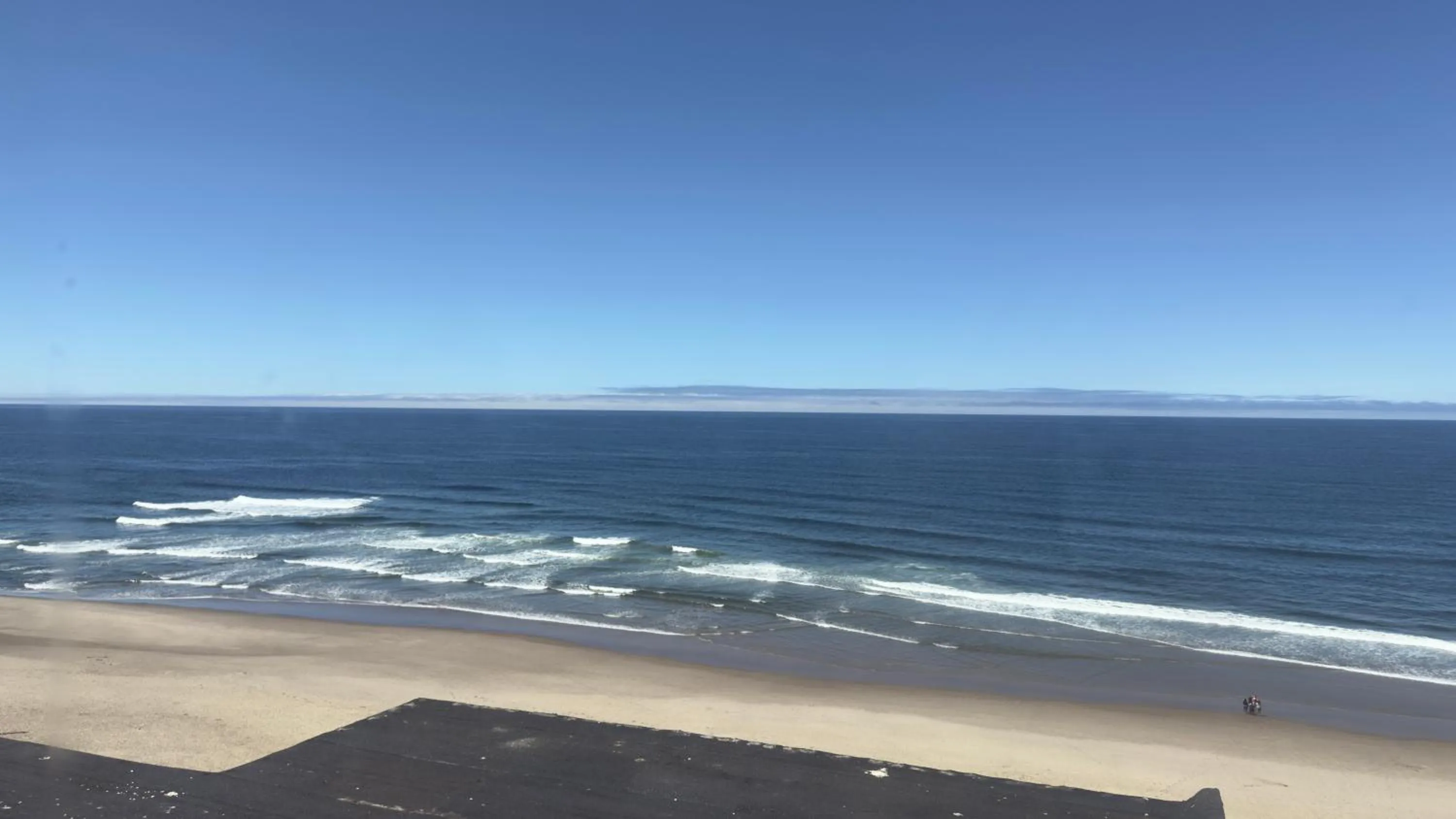 View (from property/room) in Seahorse Oceanfront Lodge