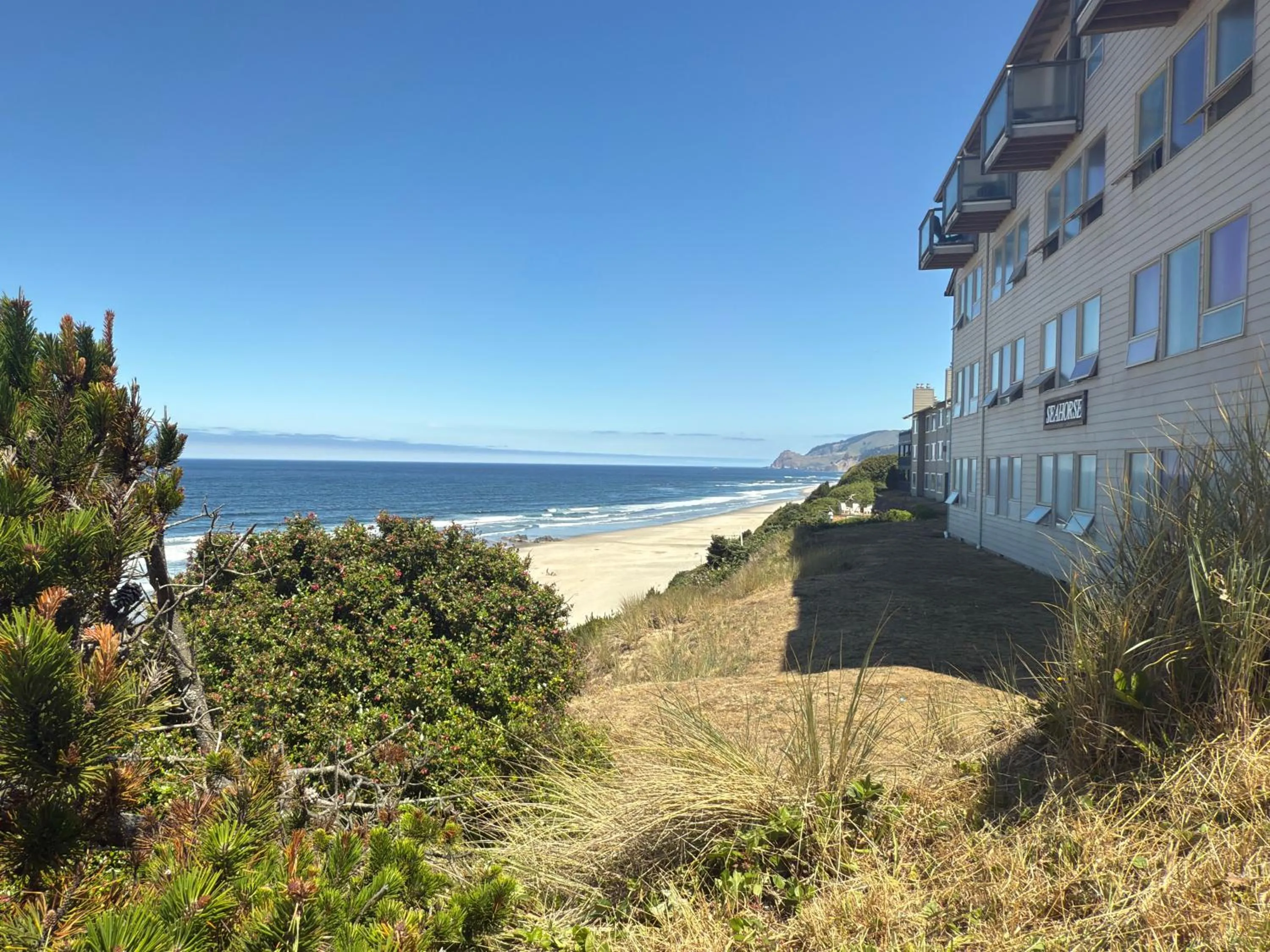 Property building in Seahorse Oceanfront Lodge