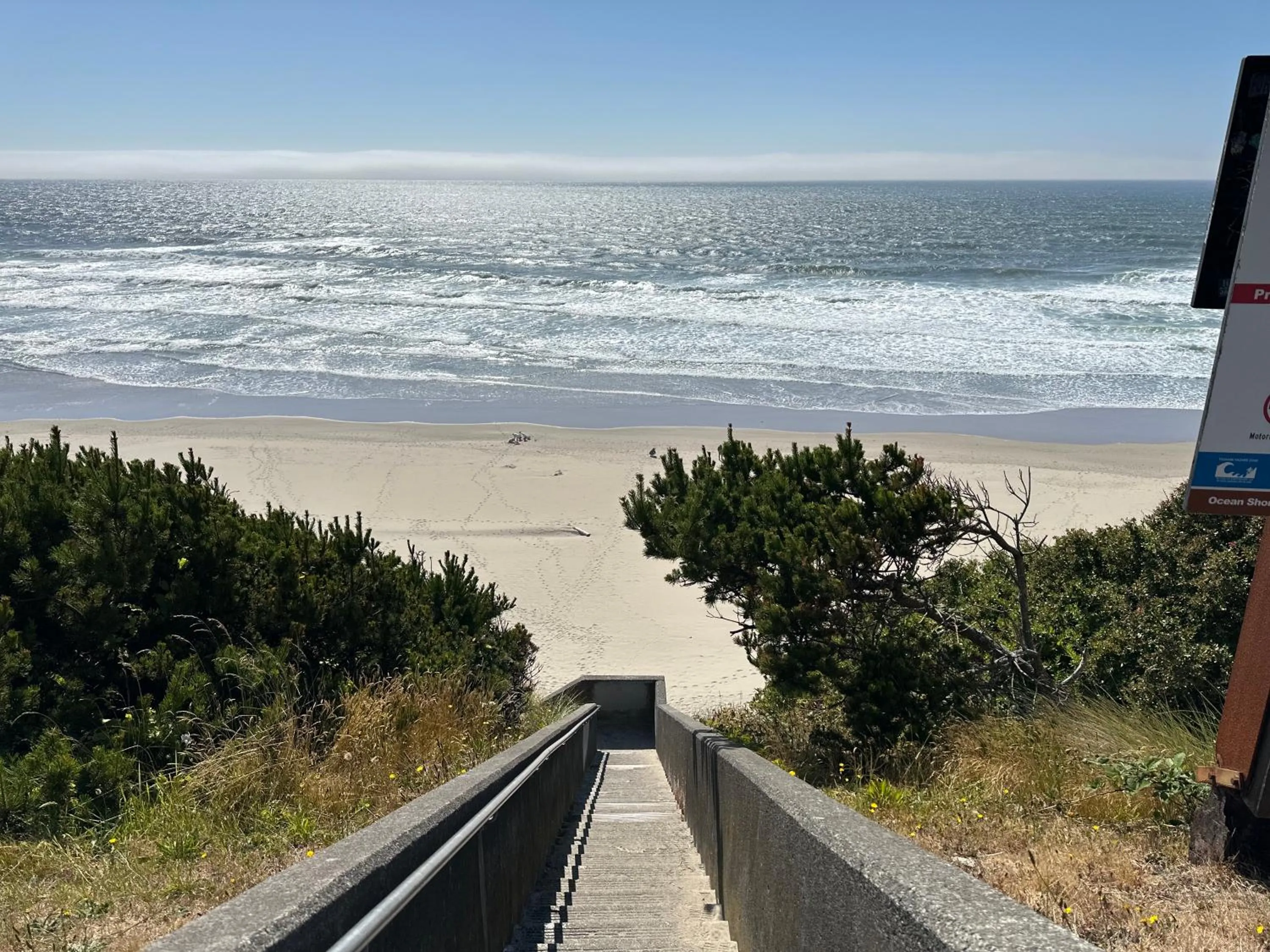 View (from property/room) in Seahorse Oceanfront Lodge