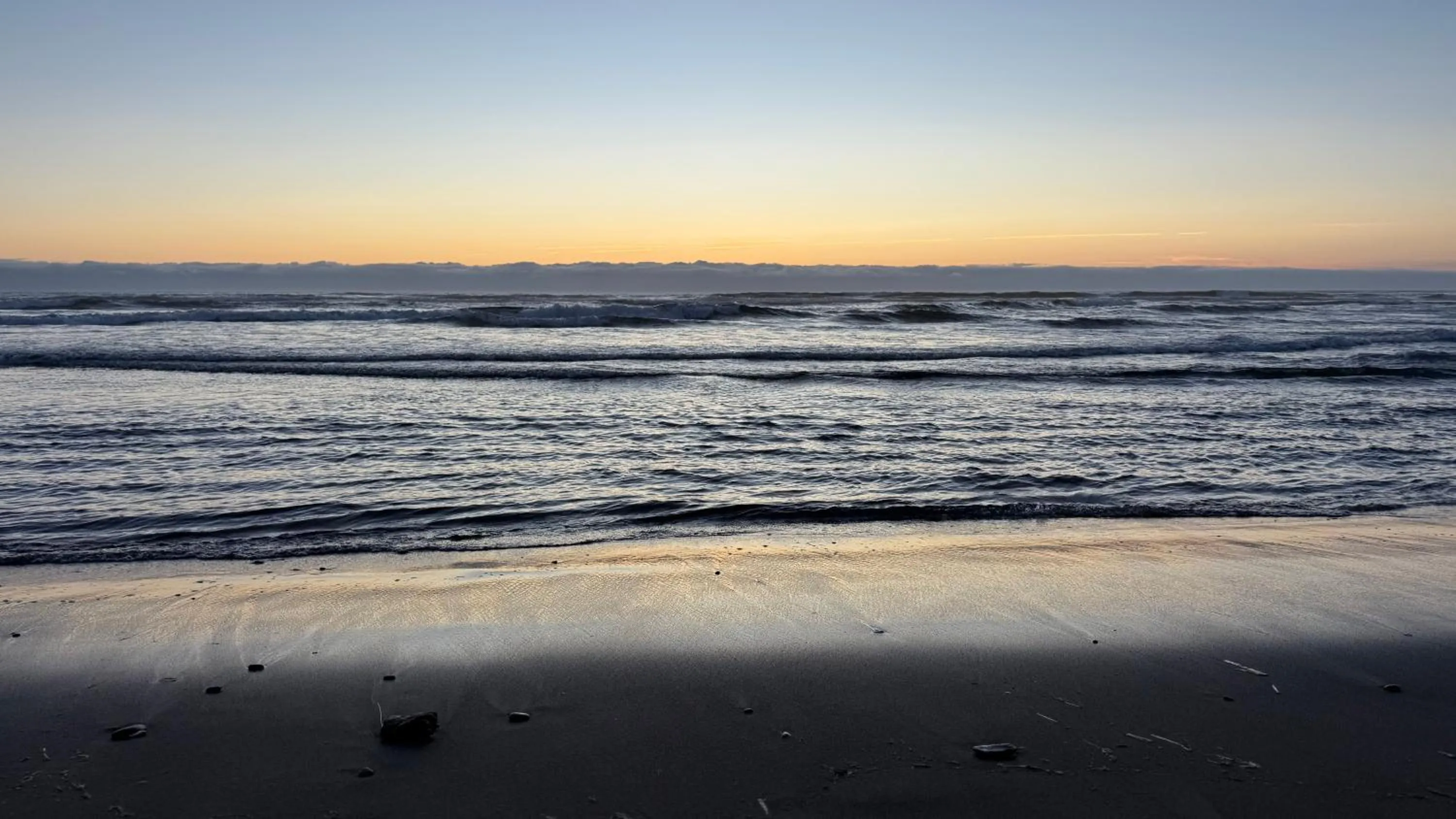 Beach in Seahorse Oceanfront Lodge