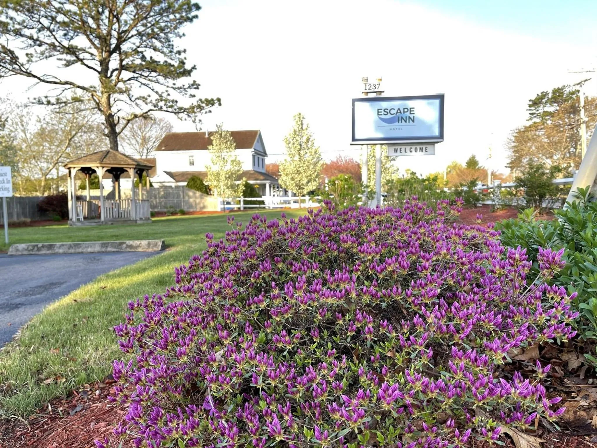 The Escape Inn