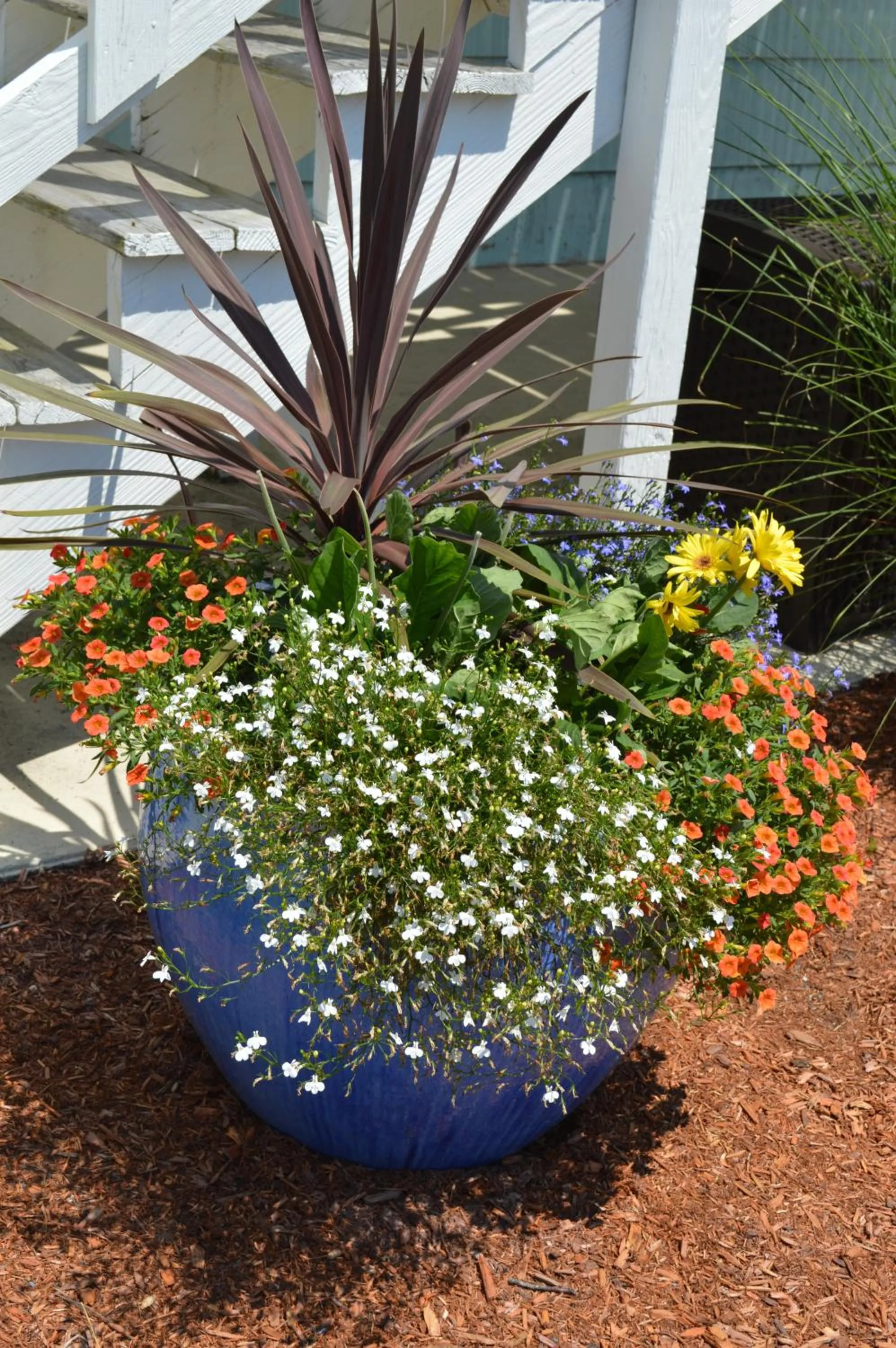 Garden in The Escape Inn