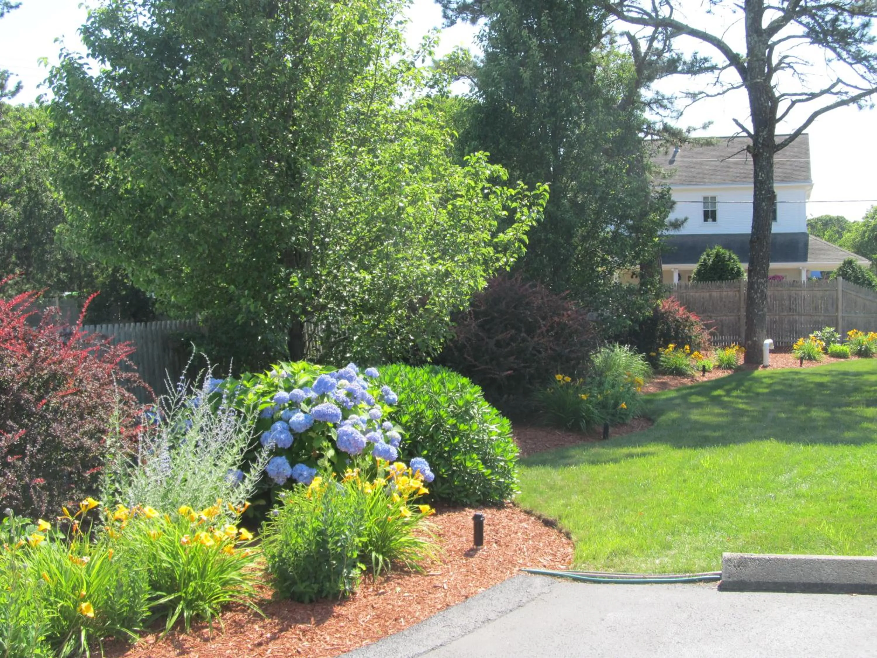 Garden in The Escape Inn