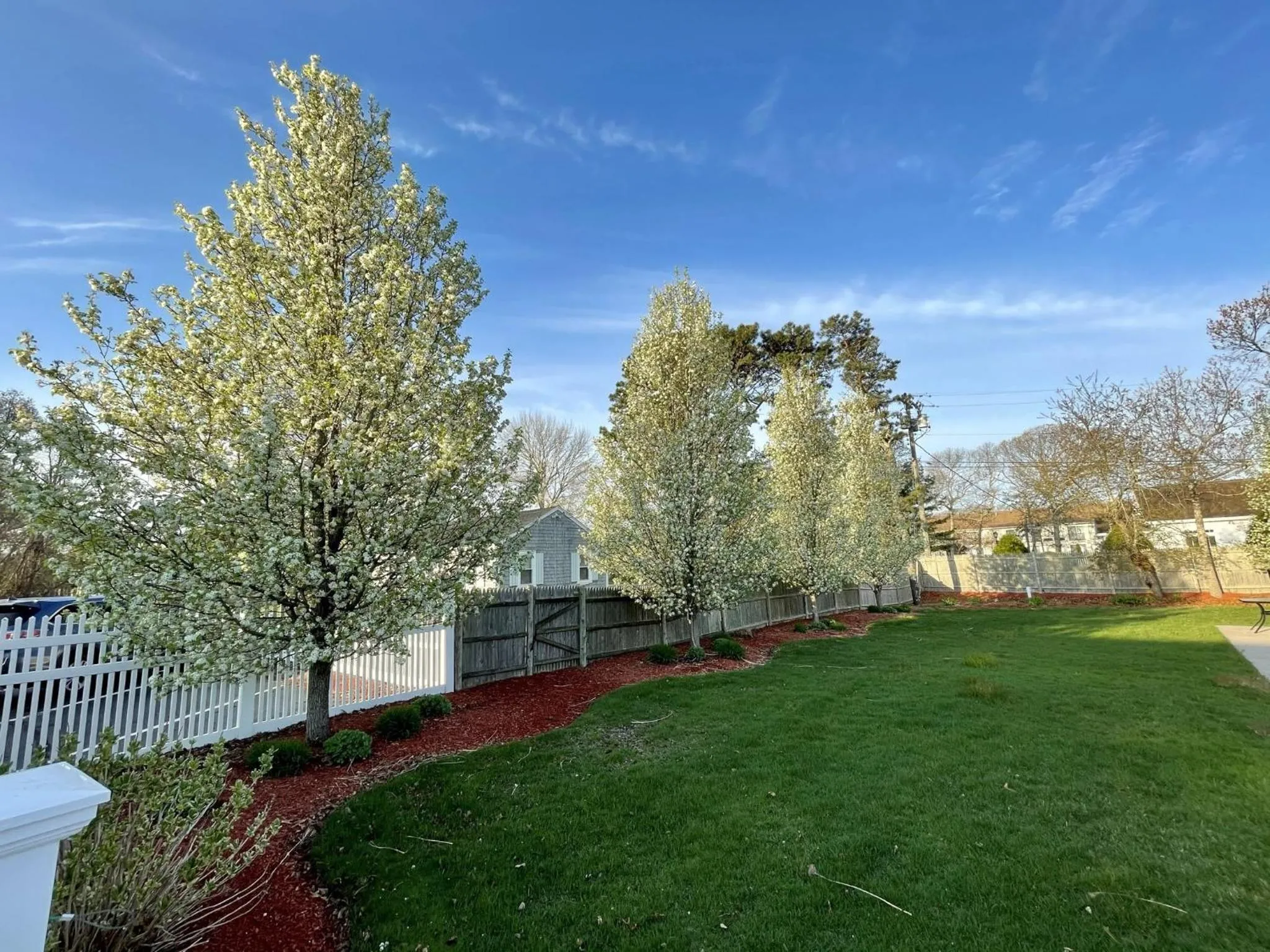 Garden in The Escape Inn