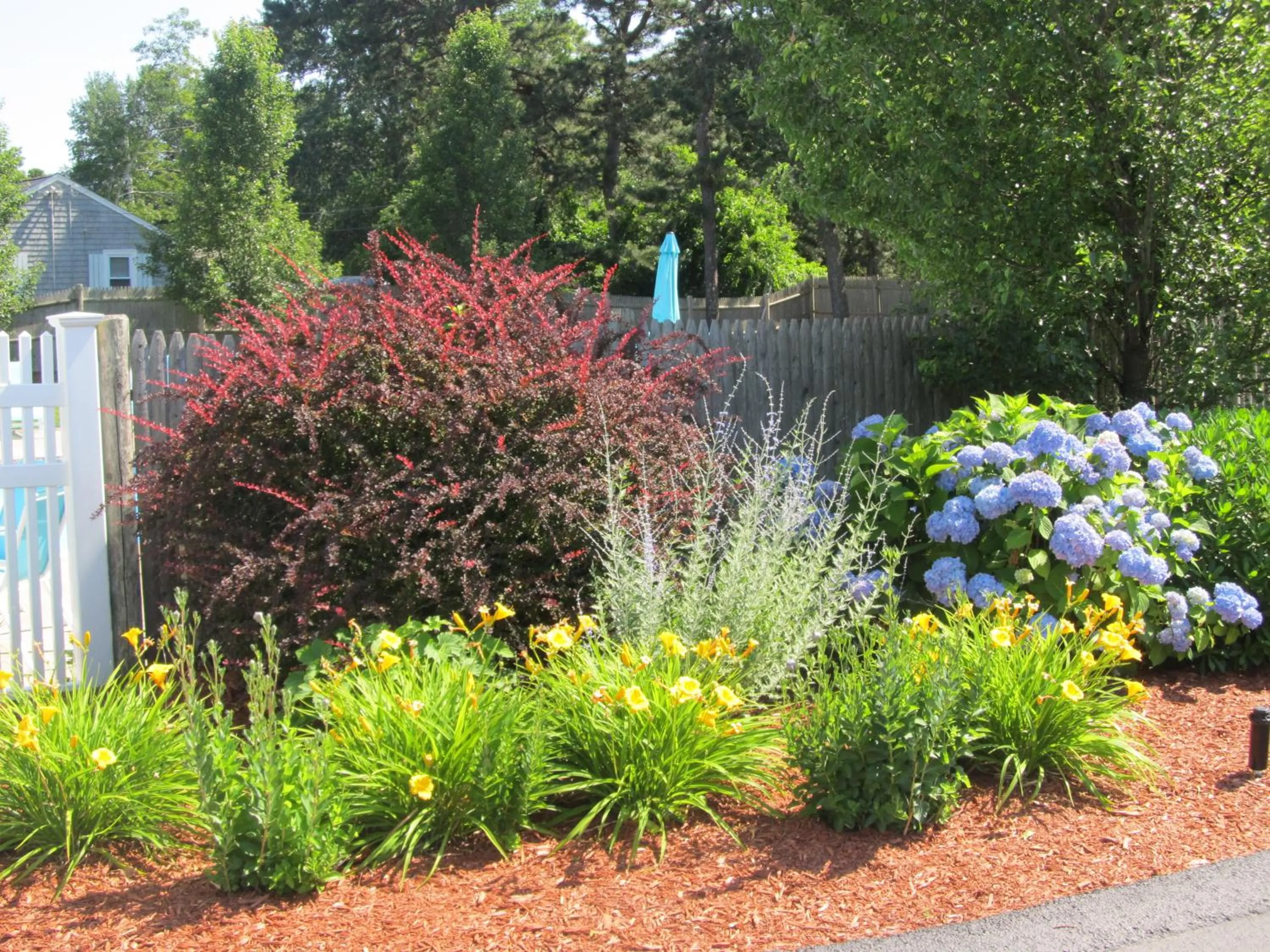 Garden in The Escape Inn