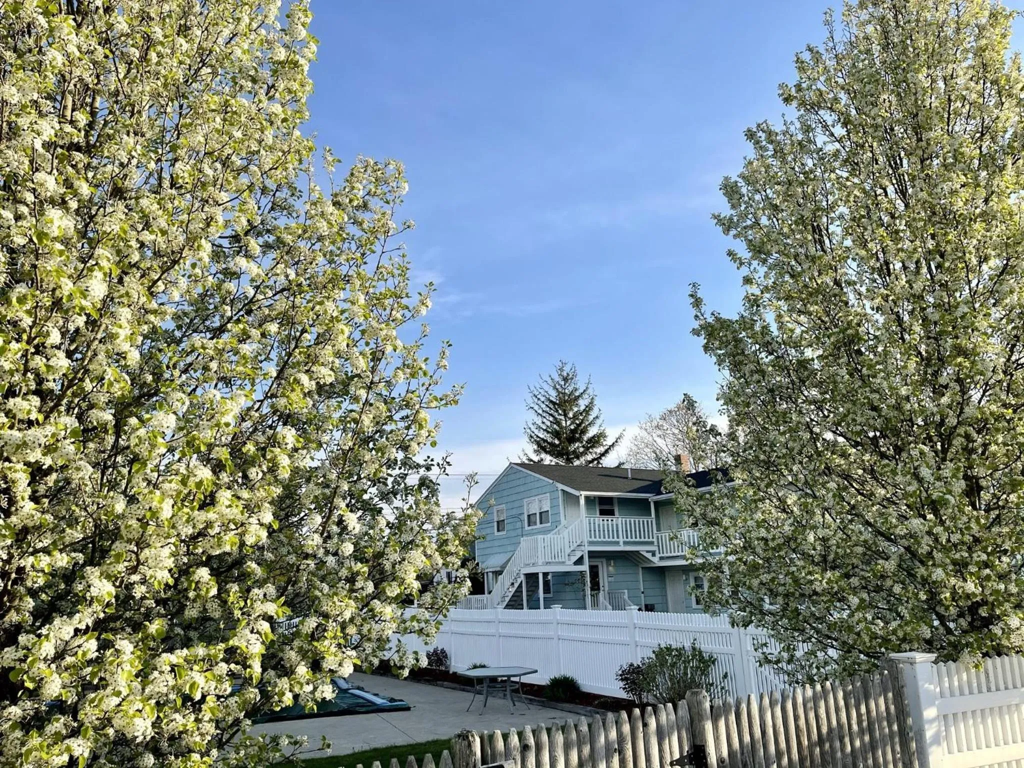 The Escape Inn