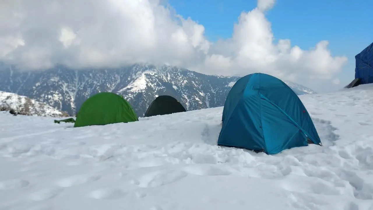 Triund trek and camping