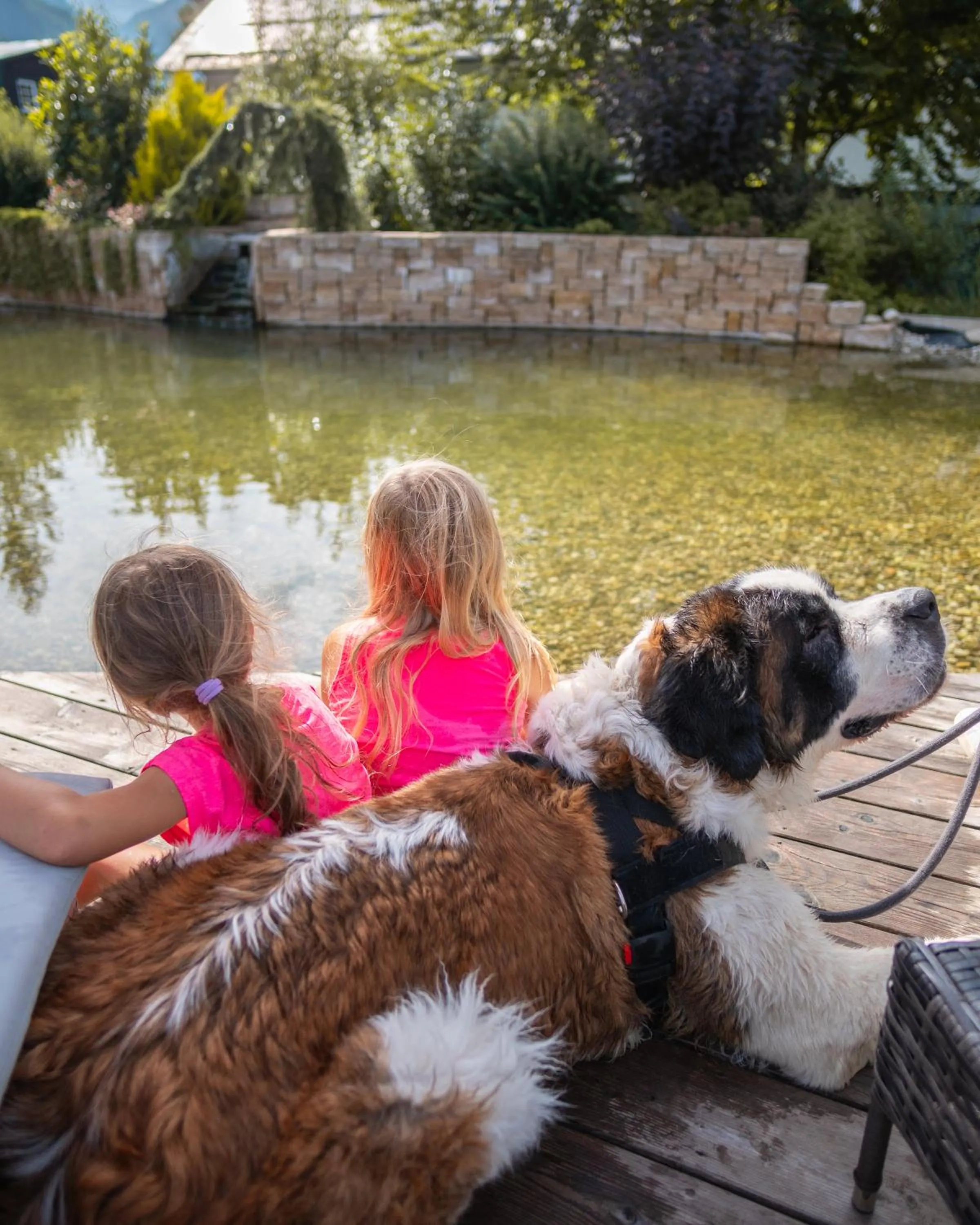 Pets in GRUBERS, Hotel Appartments Gastein