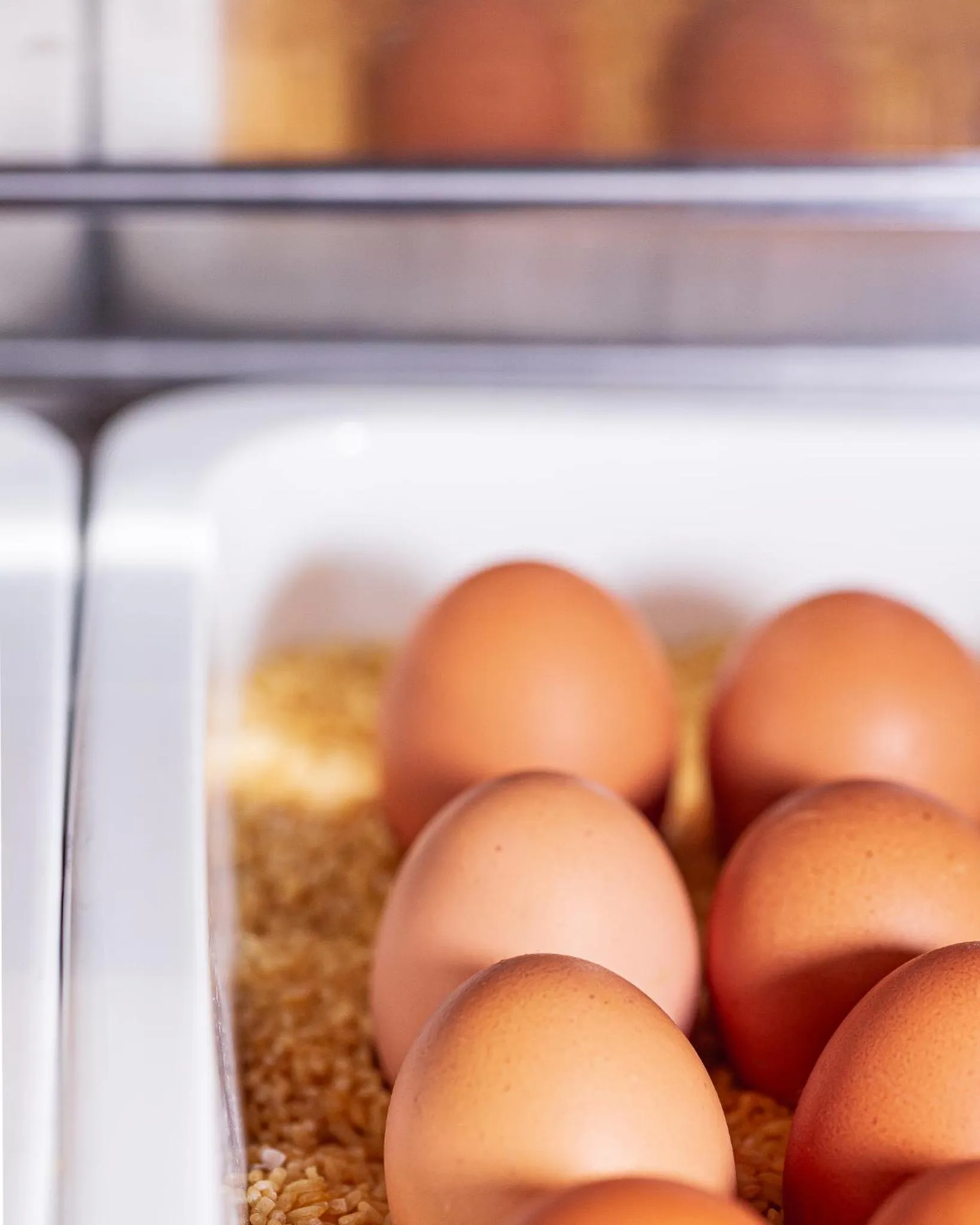 Breakfast in Altstadt Hotel Hofwirt Salzburg