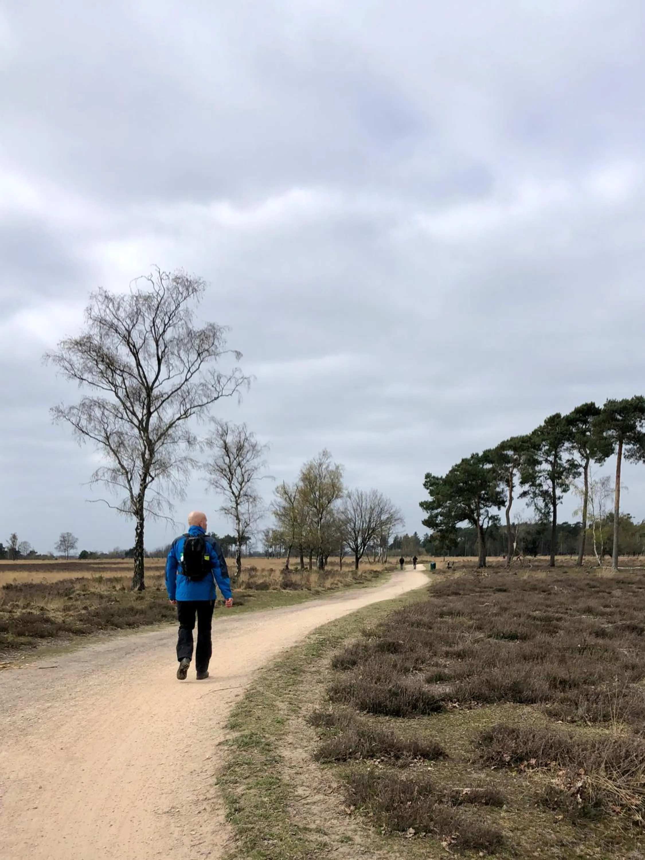 Natural landscape in BnB Mir Lo in Mierlo Adults only