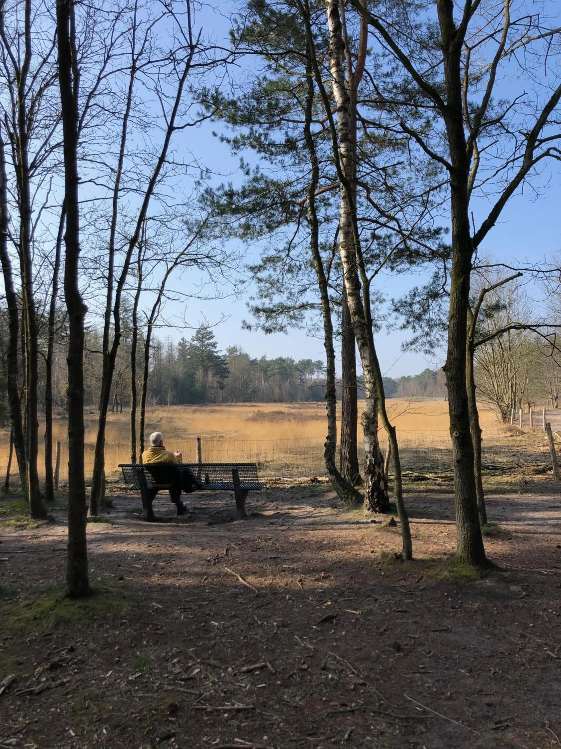 Natural landscape in BnB Mir Lo in Mierlo Adults only