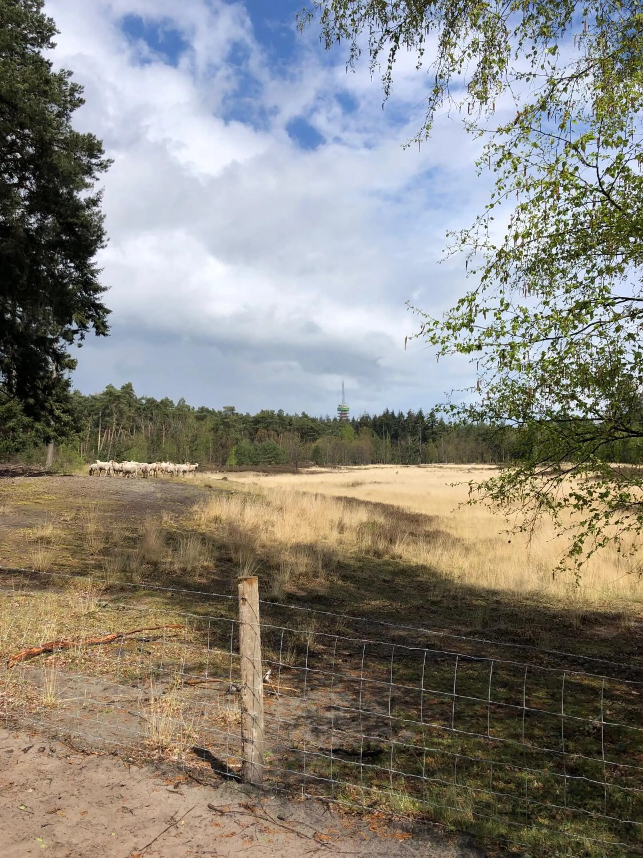 Spring in BnB Mir Lo in Mierlo Adults only