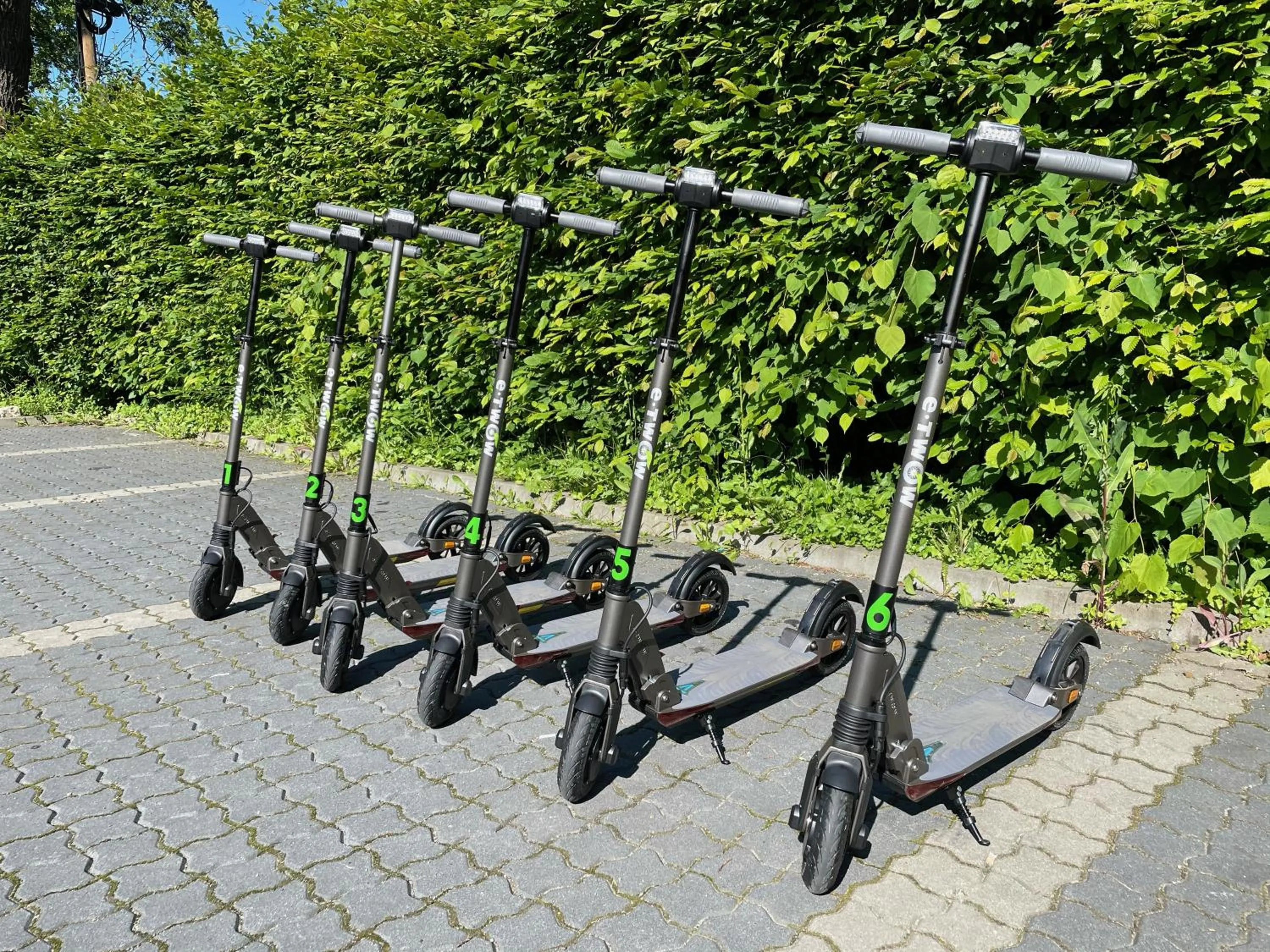 Galeria Grafit Apartments