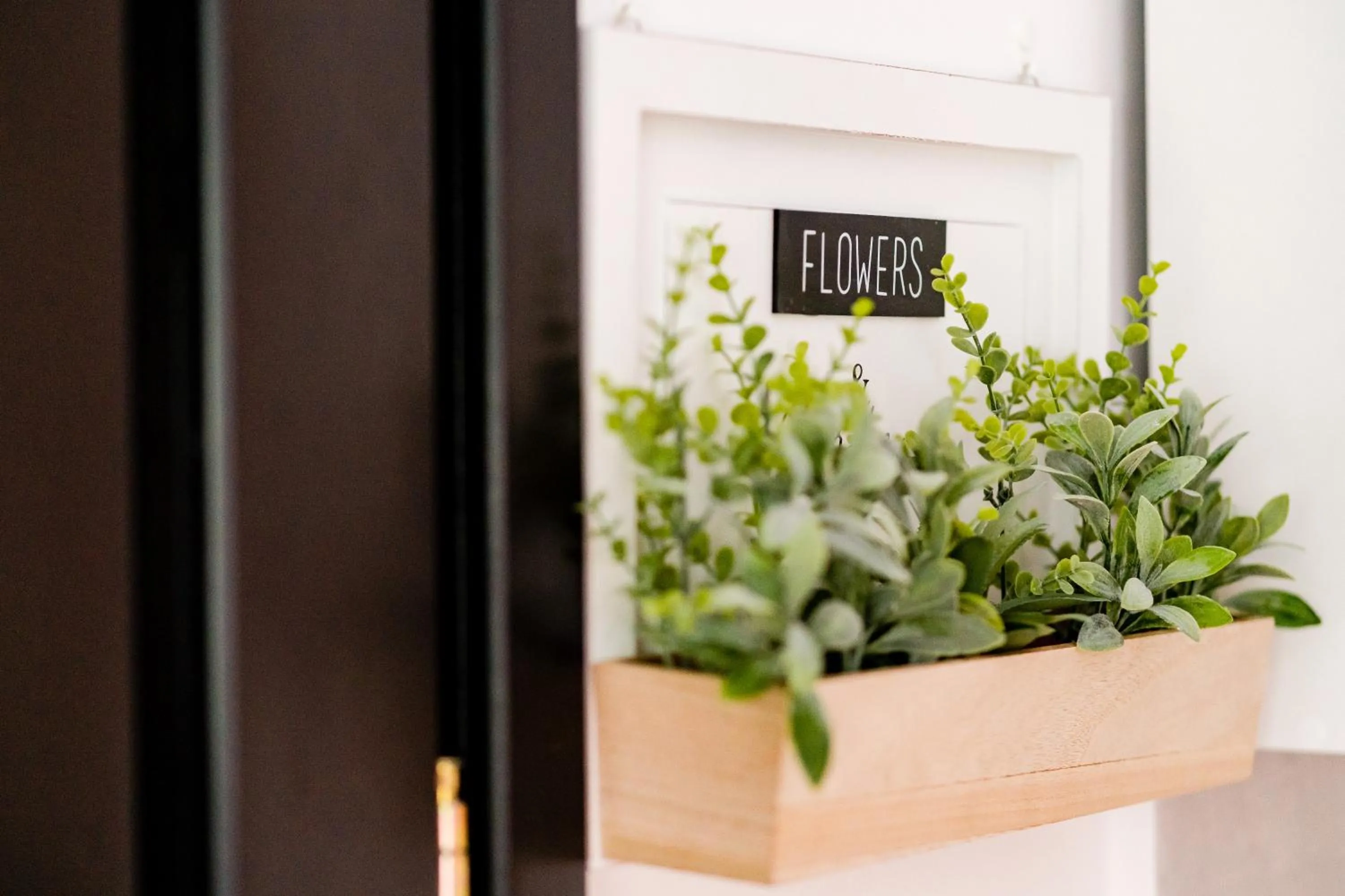 Galeria Grafit Apartments