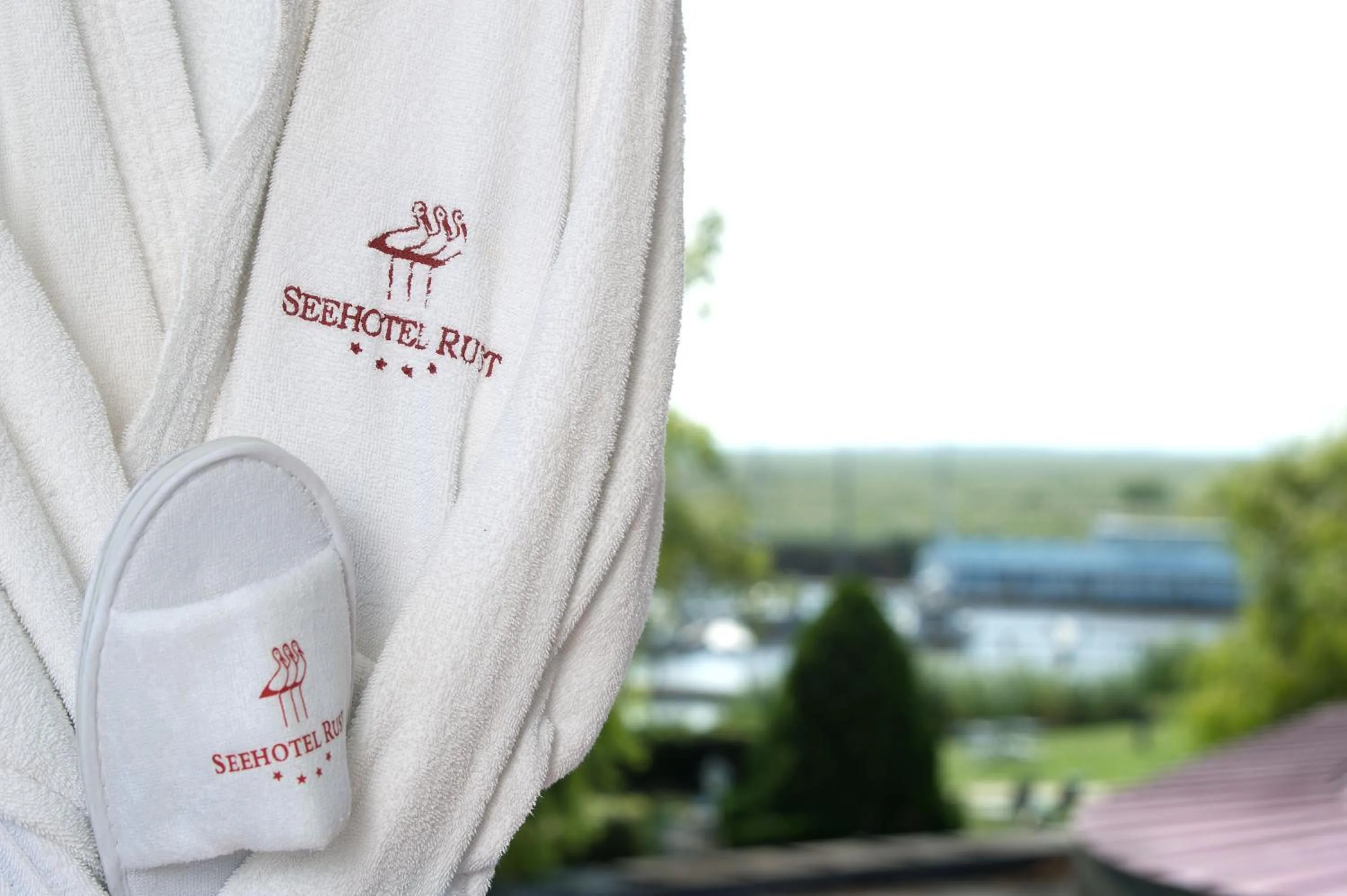 Garden view in Seehotel Rust