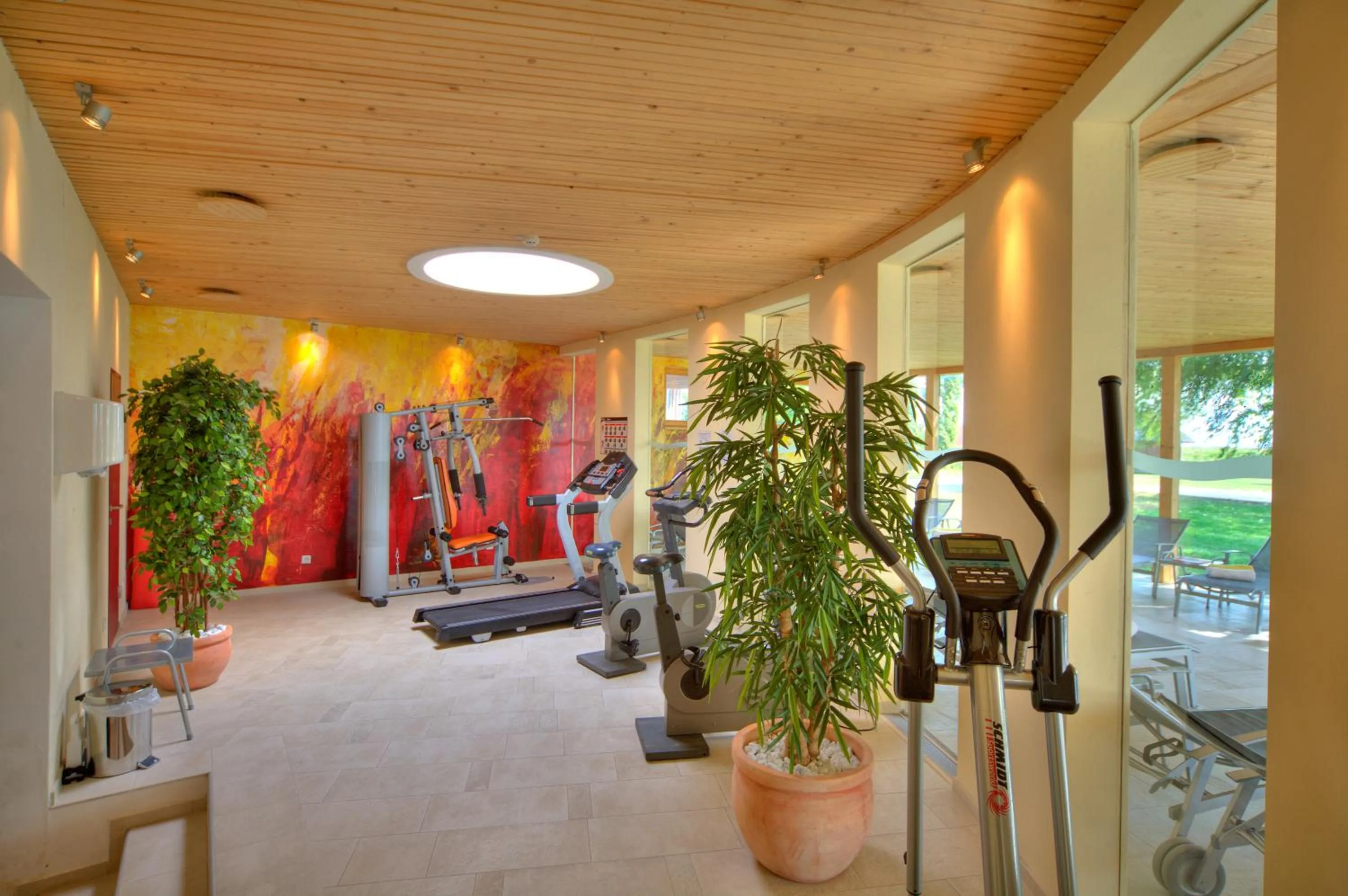 Fitness centre/facilities in Seehotel Rust