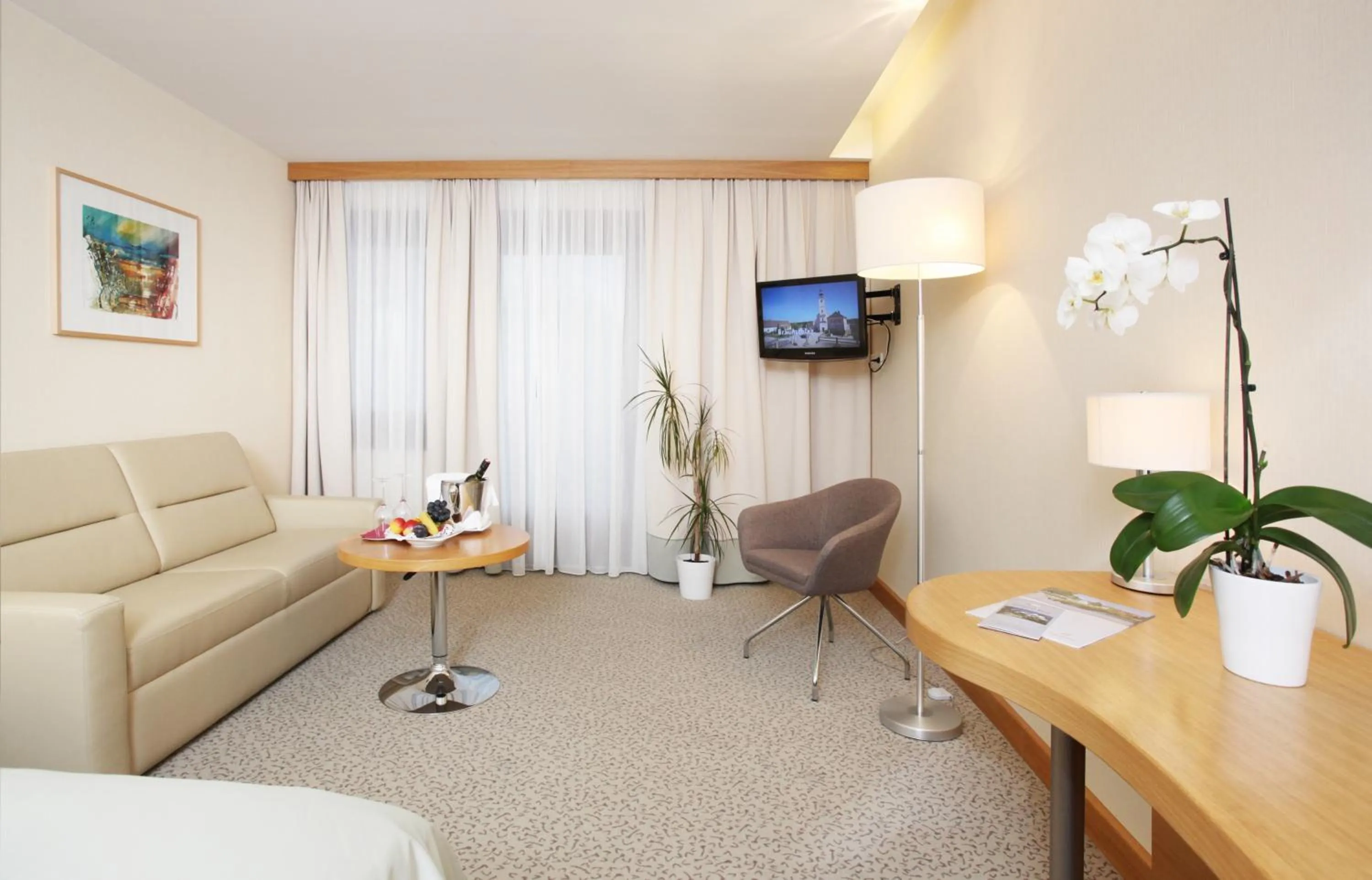 TV and multimedia in Seehotel Rust