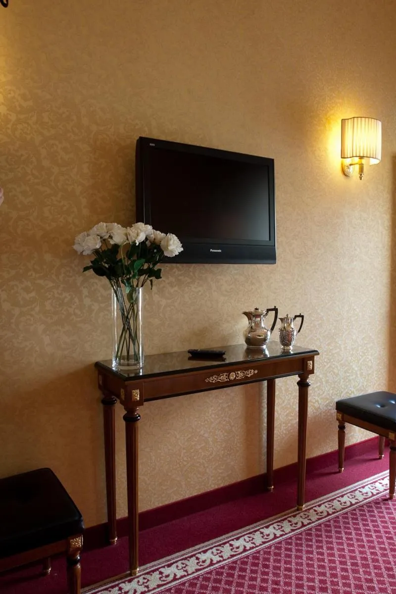 TV and multimedia in Hotel Maxim