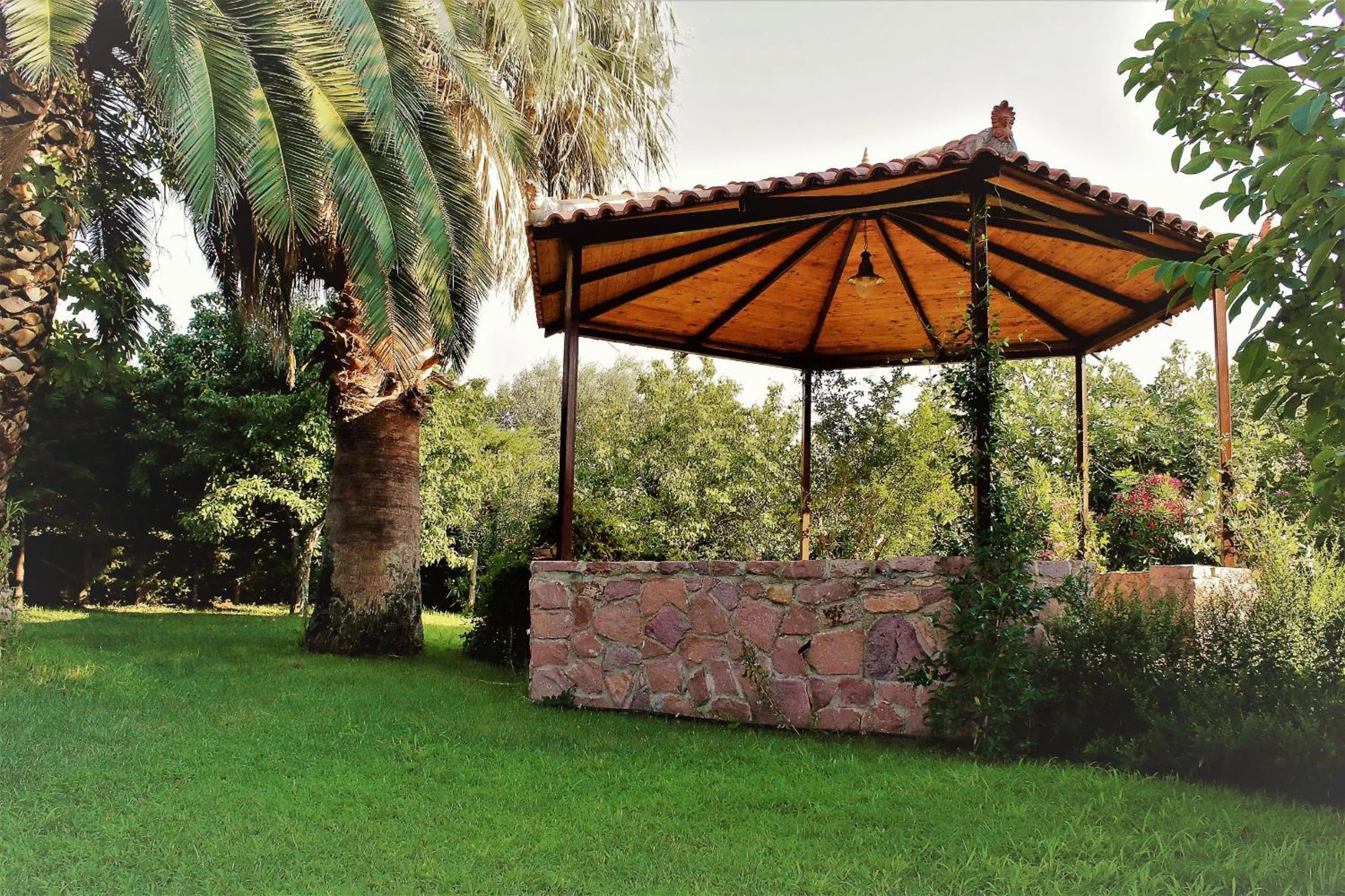 Garden in Nadia Apartments