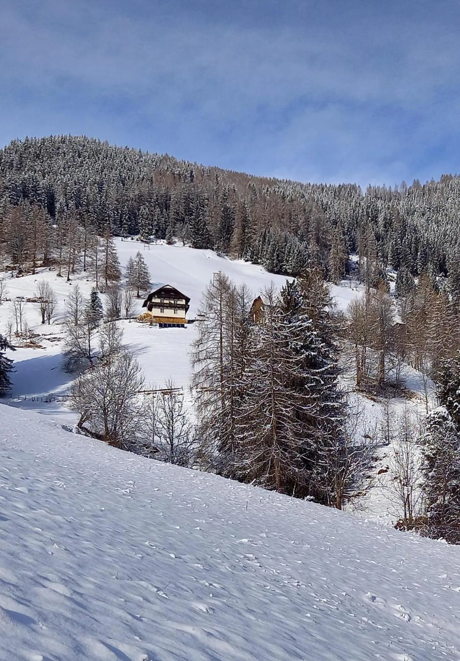 Natural landscape in Tischnerhof Appartements