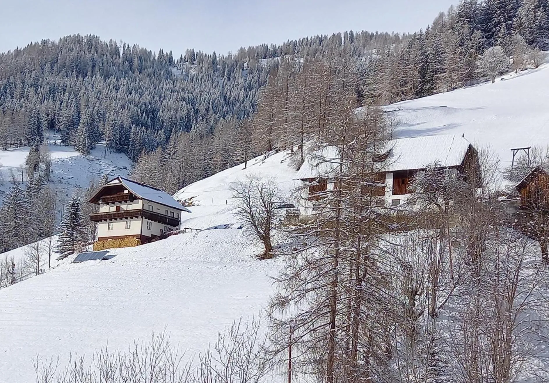 Natural landscape in Tischnerhof Appartements
