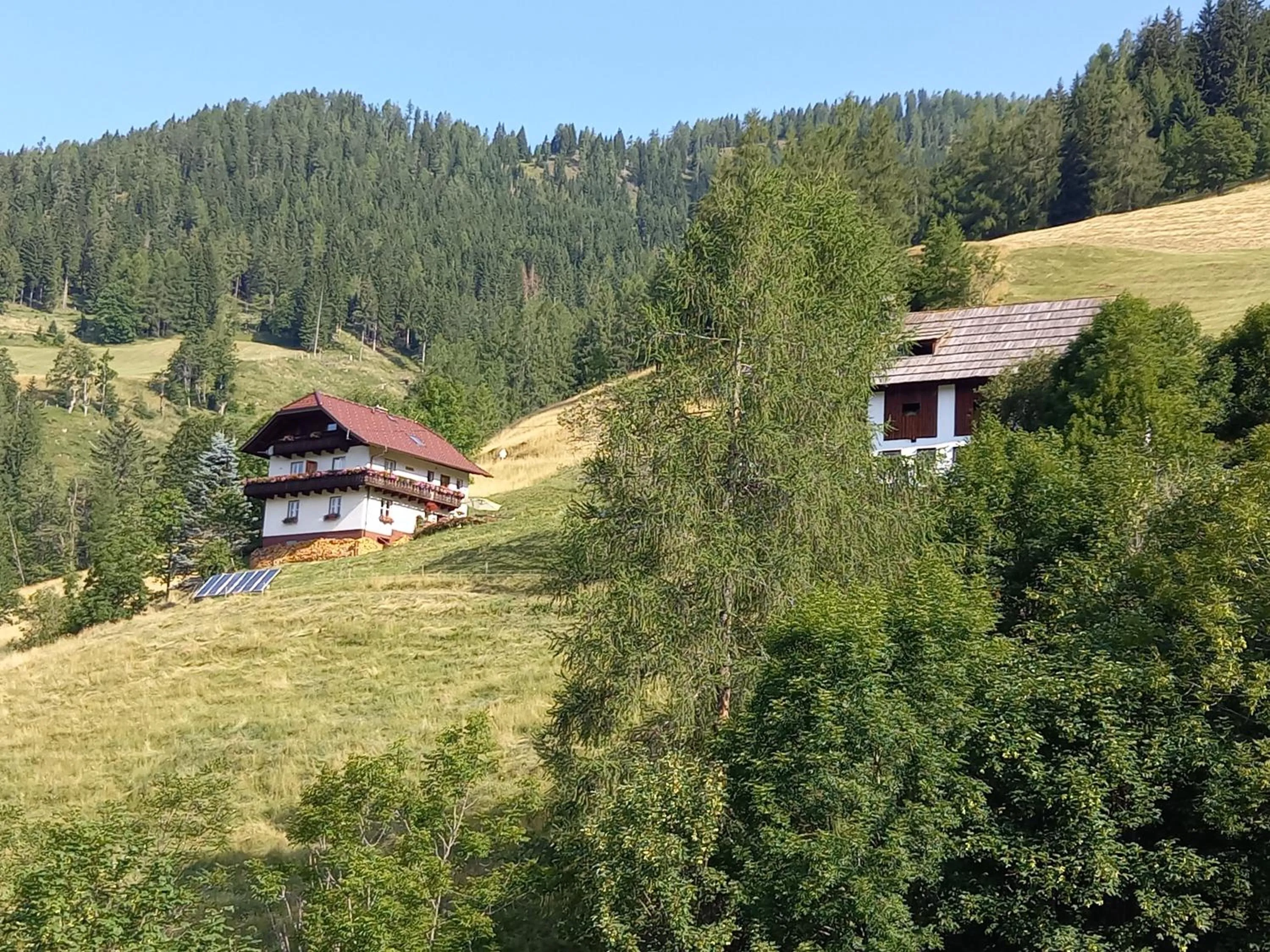 Property building in Tischnerhof Appartements
