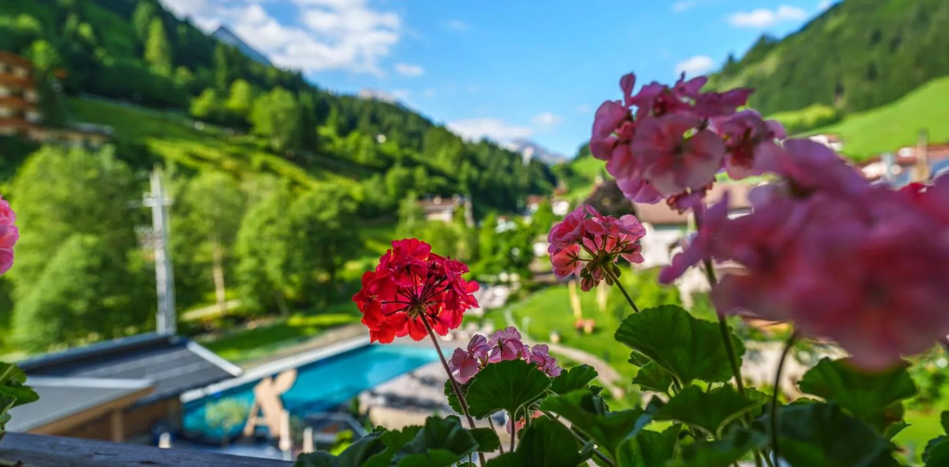 Day in das Alois 4 Sterne Superior