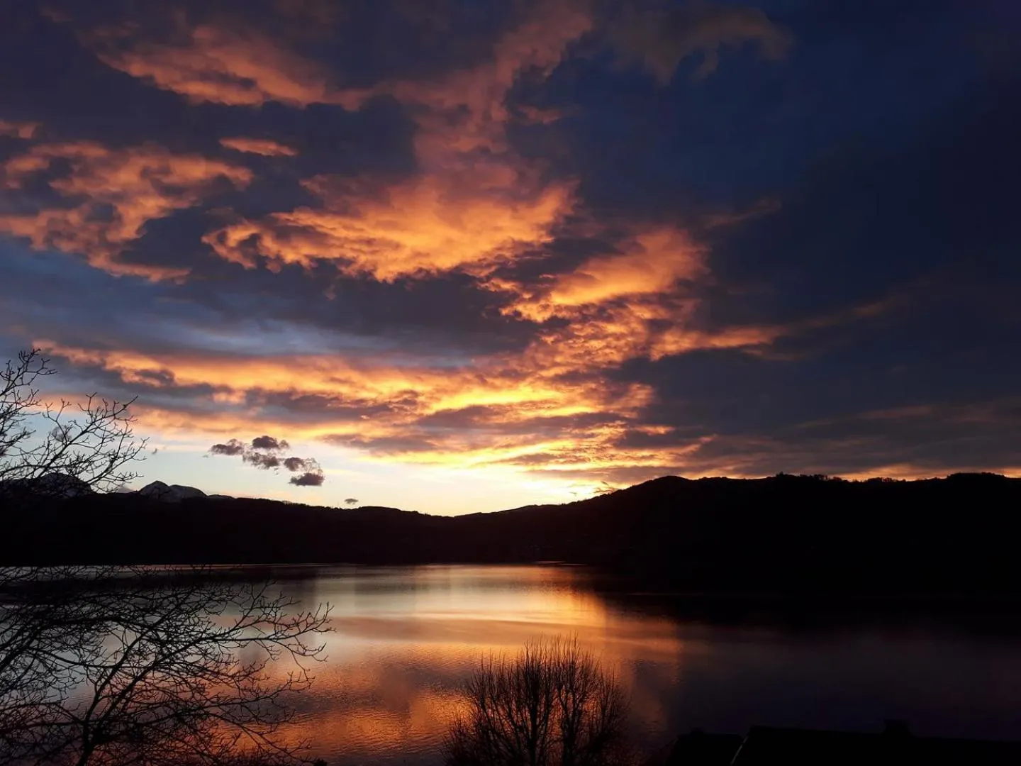 Natural landscape in Landhotel Grünberg am See