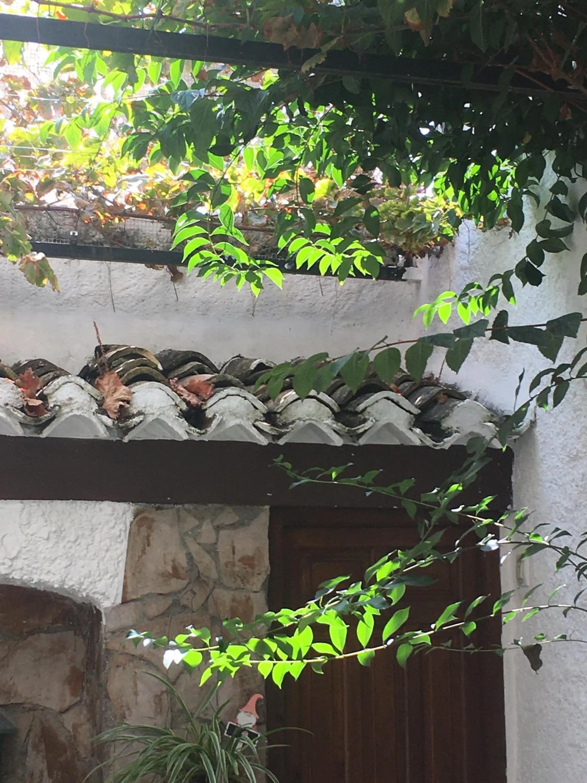 Garden view in Patio Granada