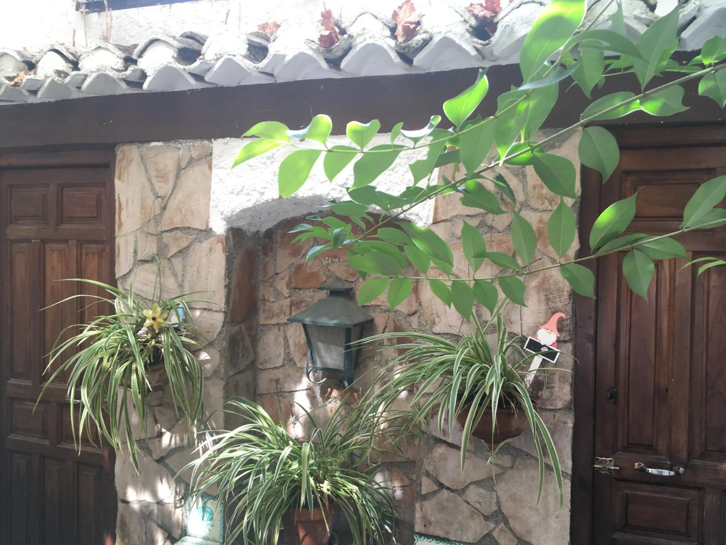 Garden in Patio Granada